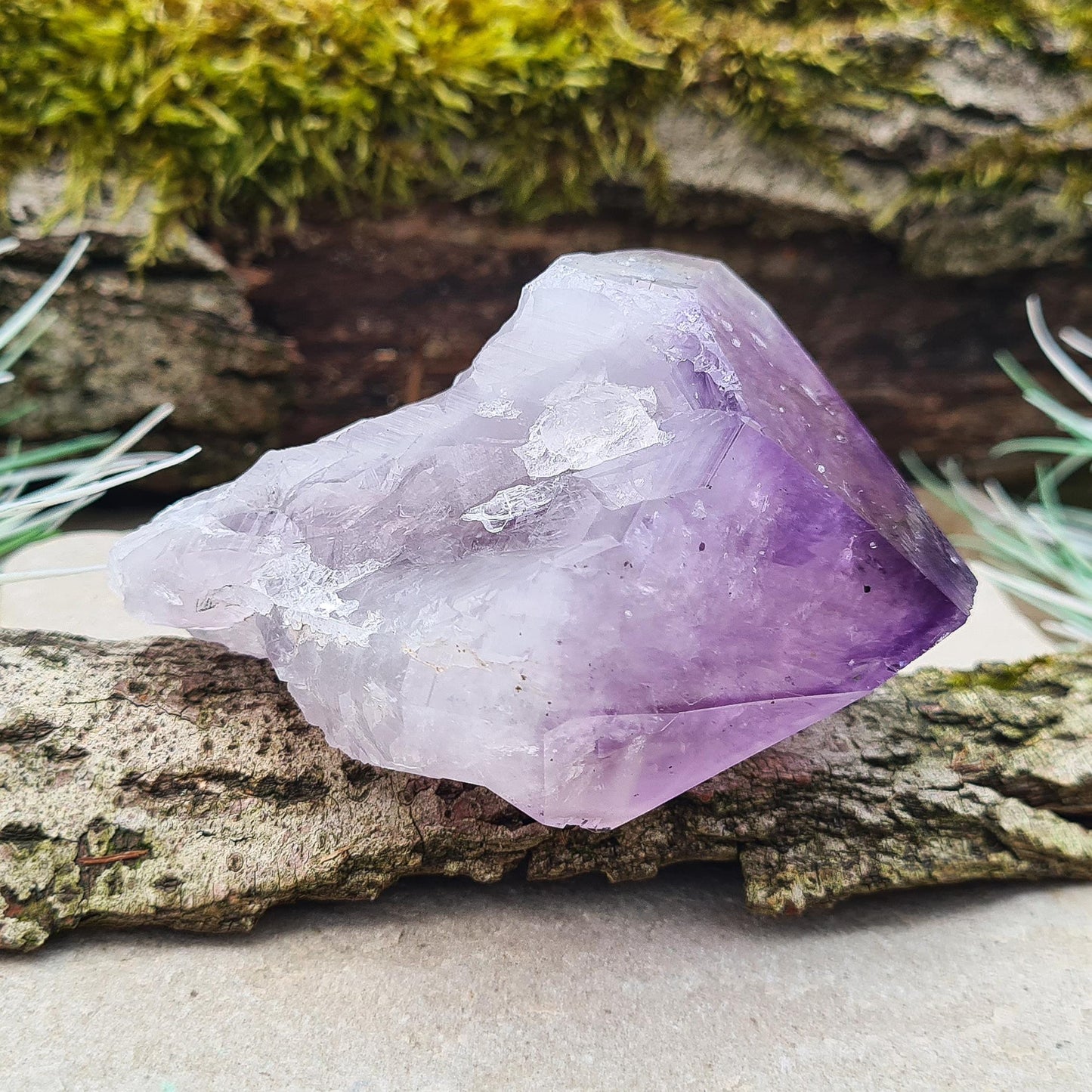 Brazilian Amethyst Point. Deep dark purple with a polished tip and natural body. Also known as "Amethyst Teeth" or "Amethyst Root."