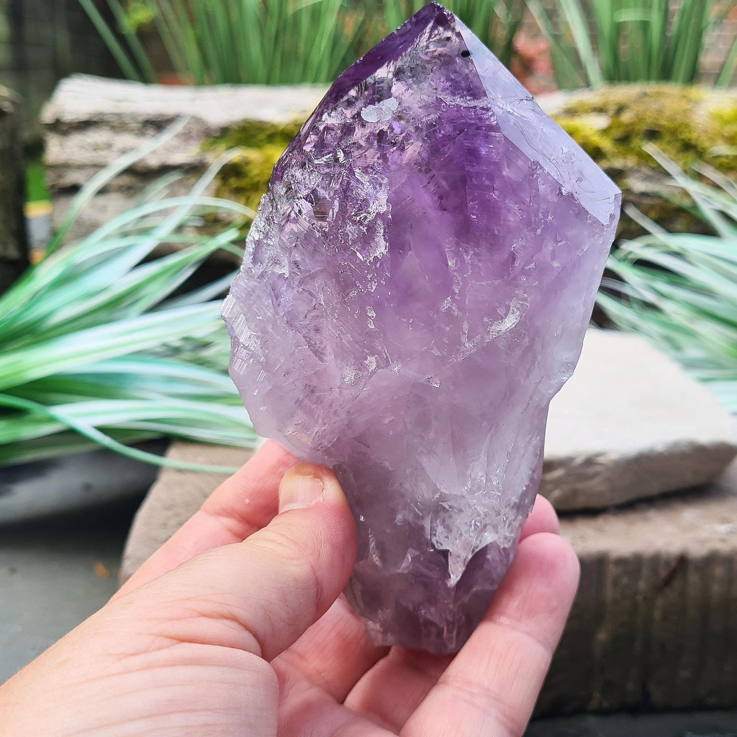 Brazilian Amethyst Point. Deep dark purple with a polished tip and natural body. Also known as "Amethyst Teeth" or "Amethyst Root."