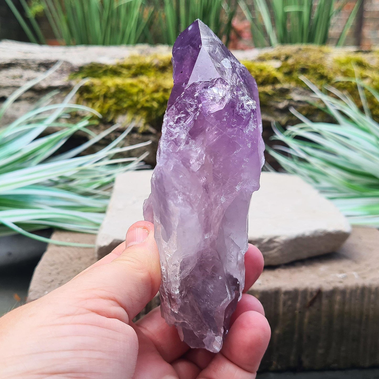 Brazilian Amethyst Point. Deep dark purple with a polished tip and natural body. Also known as "Amethyst Teeth" or "Amethyst Root."