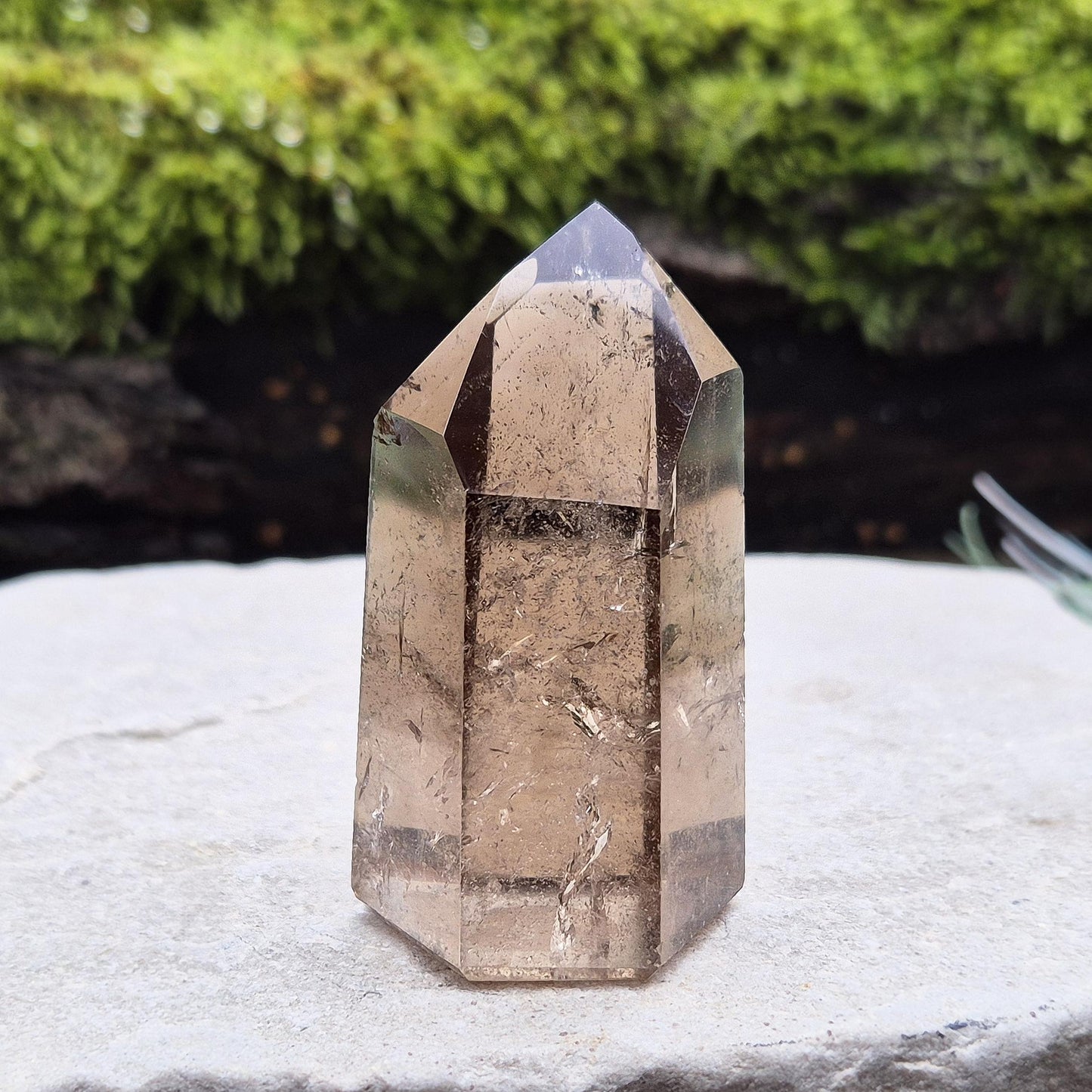 Natural Smoky Quartz Crystal Point: Polished Display Piece