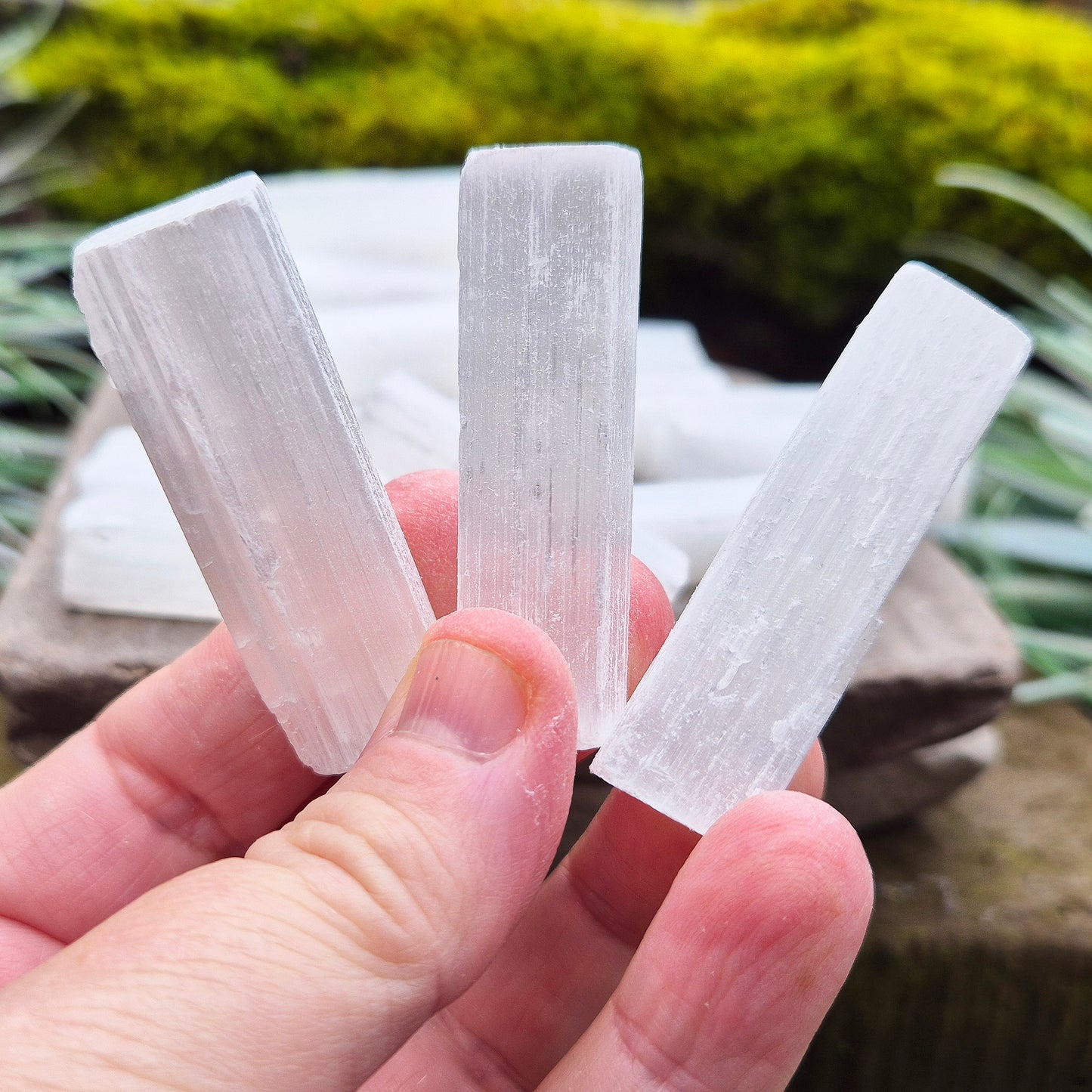 Selenite Sticks, Natural 5cm | Set of 5 | Perfect for Energy Cleansing, Crystal Grids, Healing, Meditation