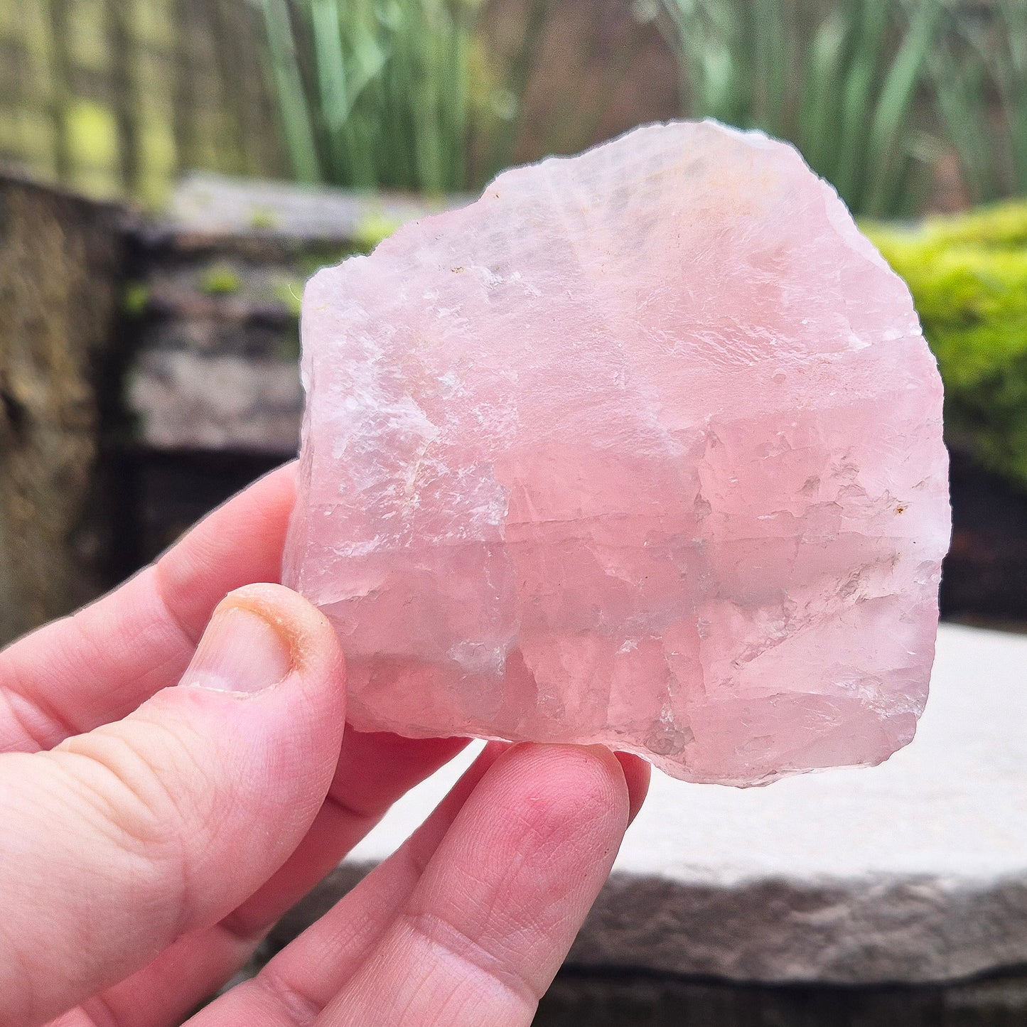 Rose Quartz Crystal Platform from South Africa. One side is left natural and the other side has been cut flat. Great for displaying other crystals and jewellry.