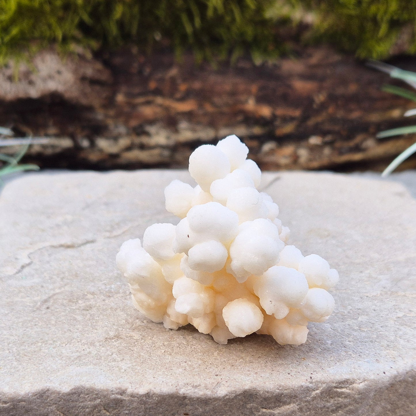 Cave Calcite, also known as Cave Popcorn or Coralloid, is actually Aragonite, not Calcite. This stunning mineral forms in caves, mines, and moist limestone-rich areas,
