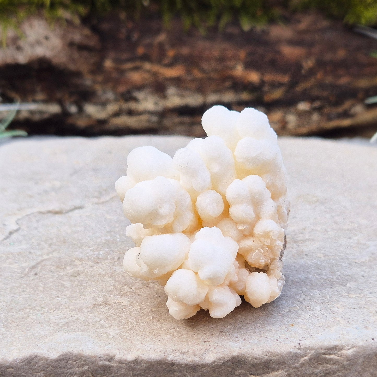 Cave Calcite, also known as Cave Popcorn or Coralloid, is actually Aragonite, not Calcite. This stunning mineral forms in caves, mines, and moist limestone-rich areas,