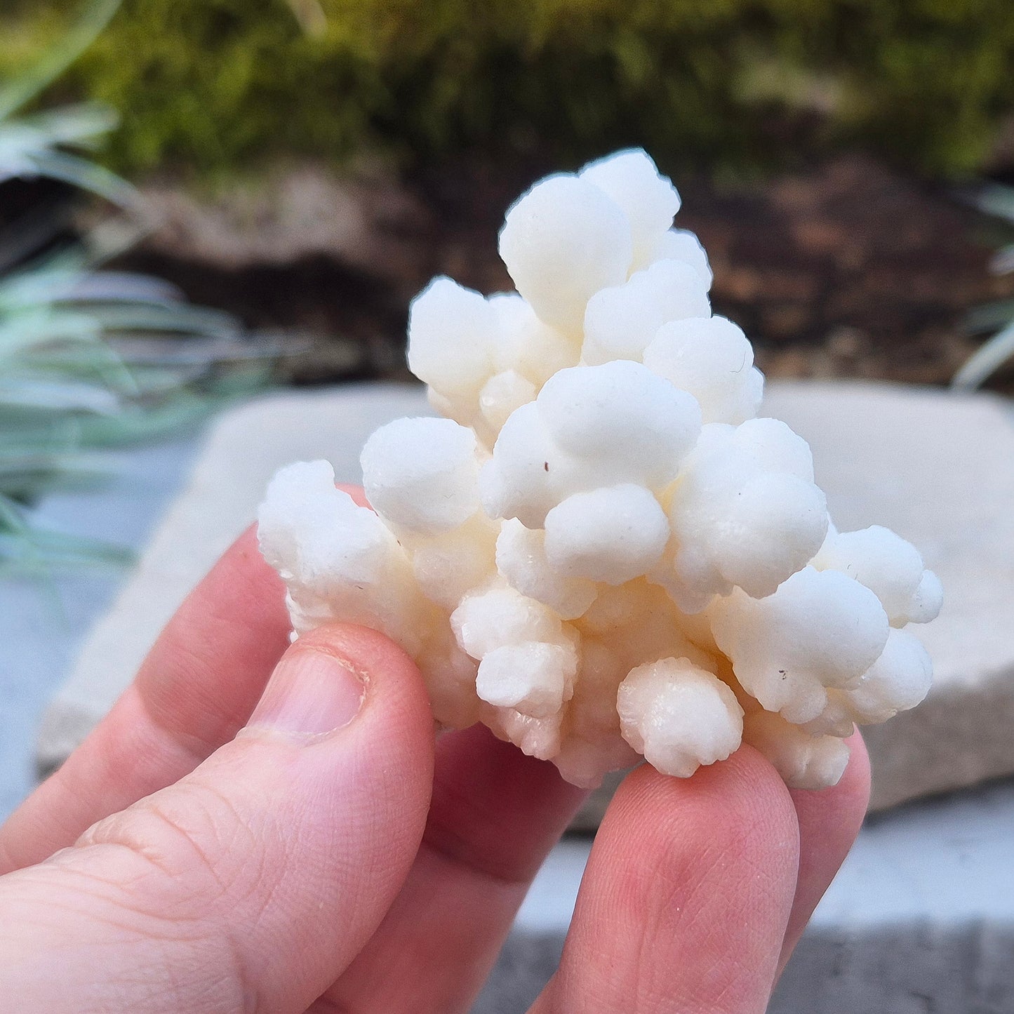 Cave Calcite, Aragonite Crystal | Small Display Piece for Home or Sacred Space
