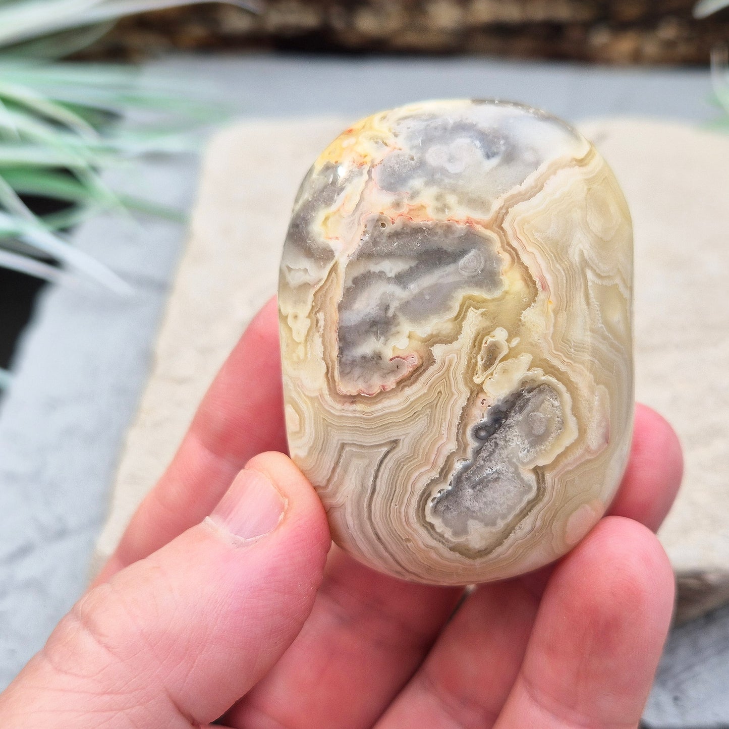 Crazy Lace Agate Crystal Palm Stone from Mexico, also known as Mexican Agate. This beautiful stone is a microcrystalline quartz infused with aluminum and iron, featuring a range of colors including rust red, orange, grey, brown, yellow, cream, and white.