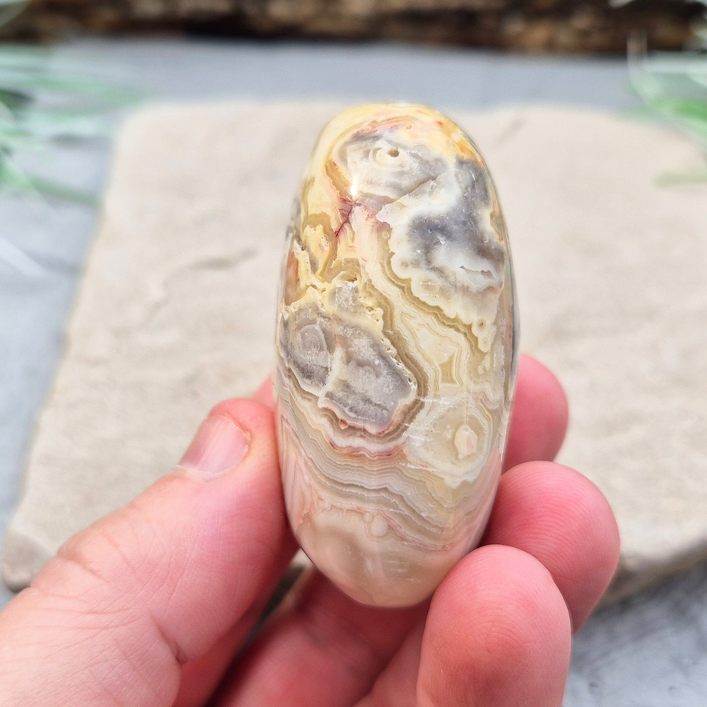 Crazy Lace Agate Crystal Palm Stone from Mexico, also known as Mexican Agate. This beautiful stone is a microcrystalline quartz infused with aluminum and iron, featuring a range of colors including rust red, orange, grey, brown, yellow, cream, and white.