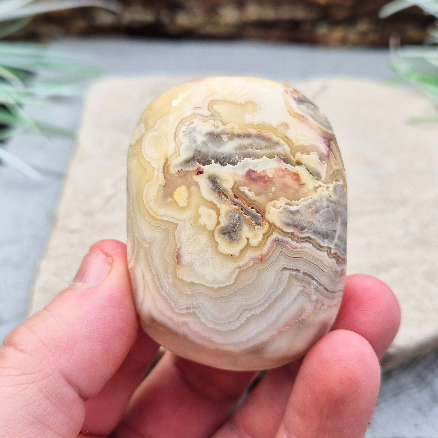 Crazy Lace Agate Crystal Palm Stone from Mexico, also known as Mexican Agate. This beautiful stone is a microcrystalline quartz infused with aluminum and iron, featuring a range of colors including rust red, orange, grey, brown, yellow, cream, and white.
