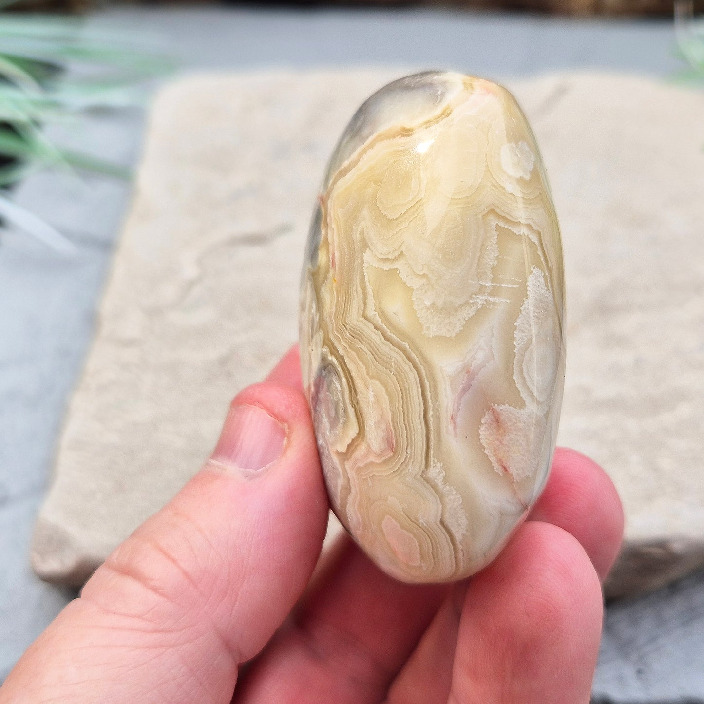 Crazy Lace Agate Crystal Palm Stone from Mexico, also known as Mexican Agate. This beautiful stone is a microcrystalline quartz infused with aluminum and iron, featuring a range of colors including rust red, orange, grey, brown, yellow, cream, and white.