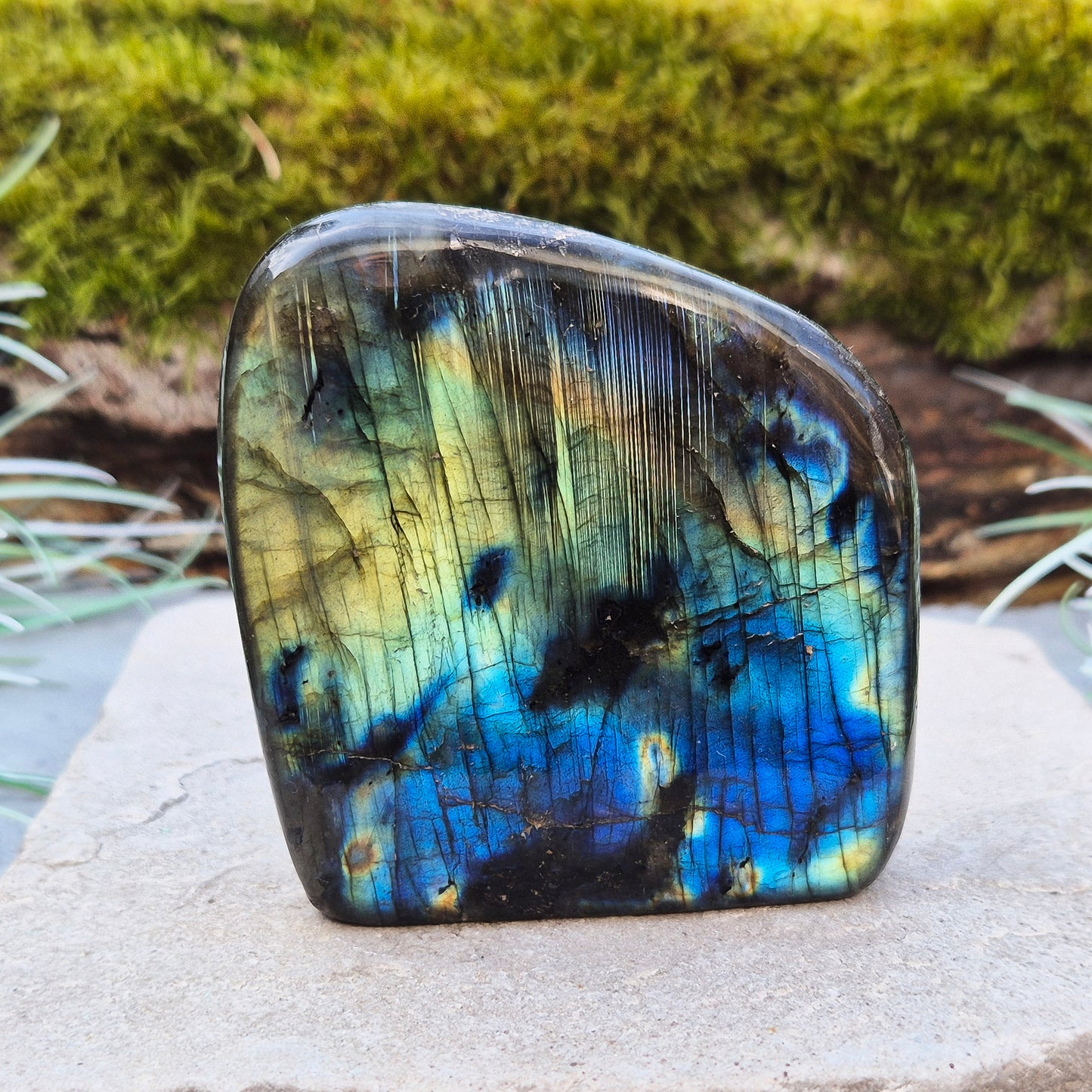 Labradorite Free Form, Self Standing Crystal also known as Spectrolite. Nice flash of colours when in the light and viewed at the right angles. From Madagascar.