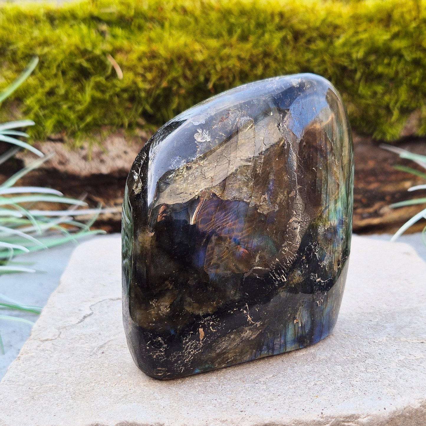 Labradorite Free Form, Self Standing Crystal also known as Spectrolite. Nice flash of colours when in the light and viewed at the right angles. From Madagascar.