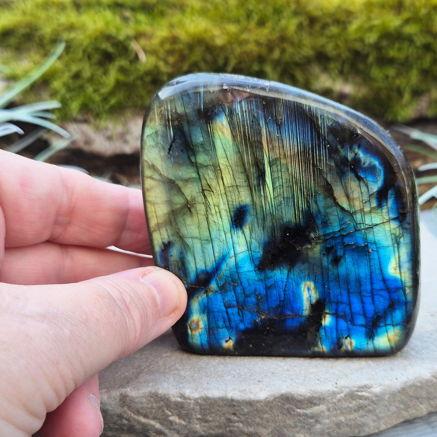 Labradorite Free Form, Self Standing Crystal | Ideal for workspaces, meditation corners, entryways, or living rooms.