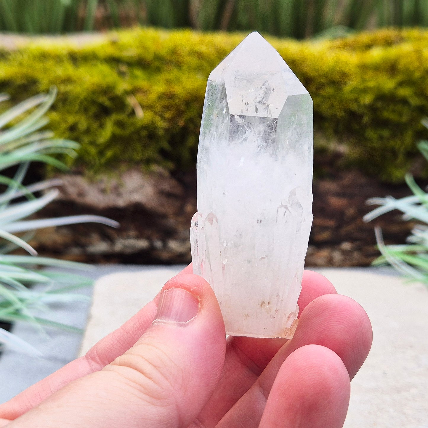 Quartz Crystal Point. From Atlas Mountains, Morocco. This is a wonderful natural quartz point with lots of companion crystals growing around it, very much like the formations you get on Pineapple Quartz.