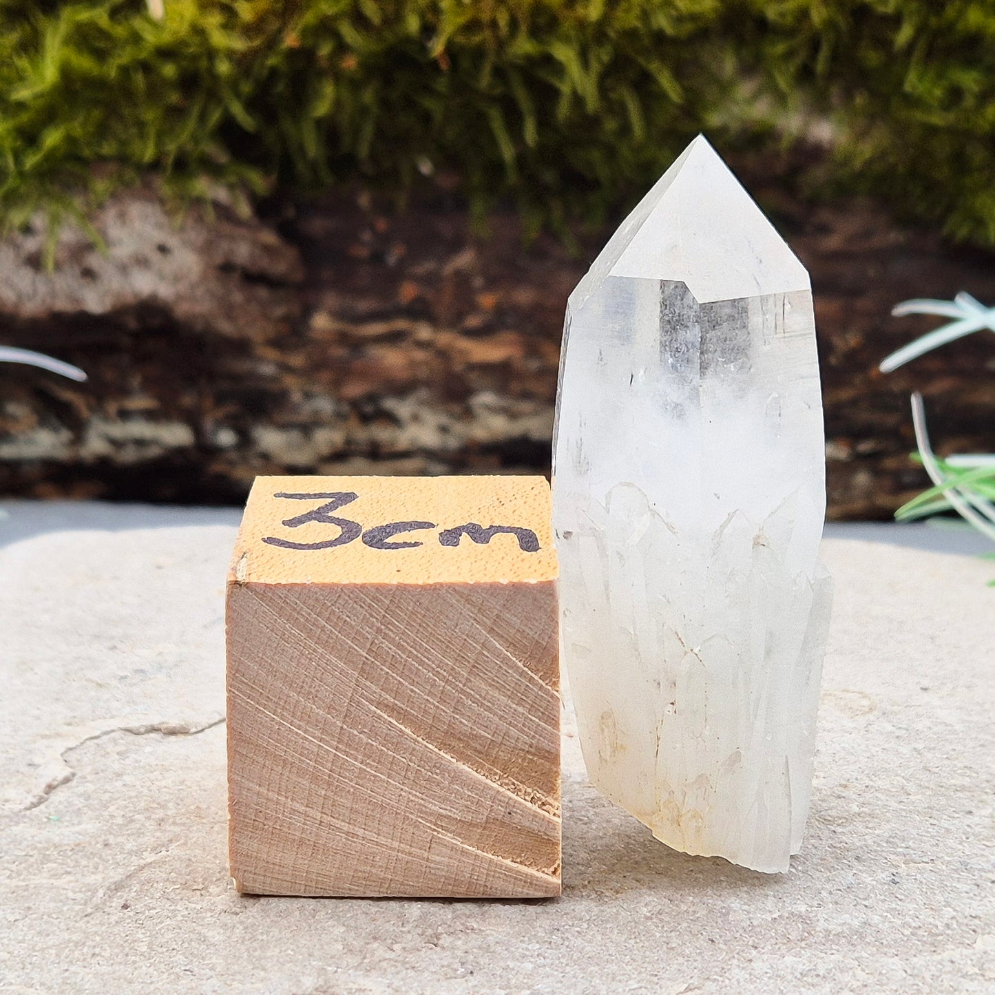 Quartz Crystal Point, Natural, Morocco | Crystal Enthusiast Gift | Space Enhancer