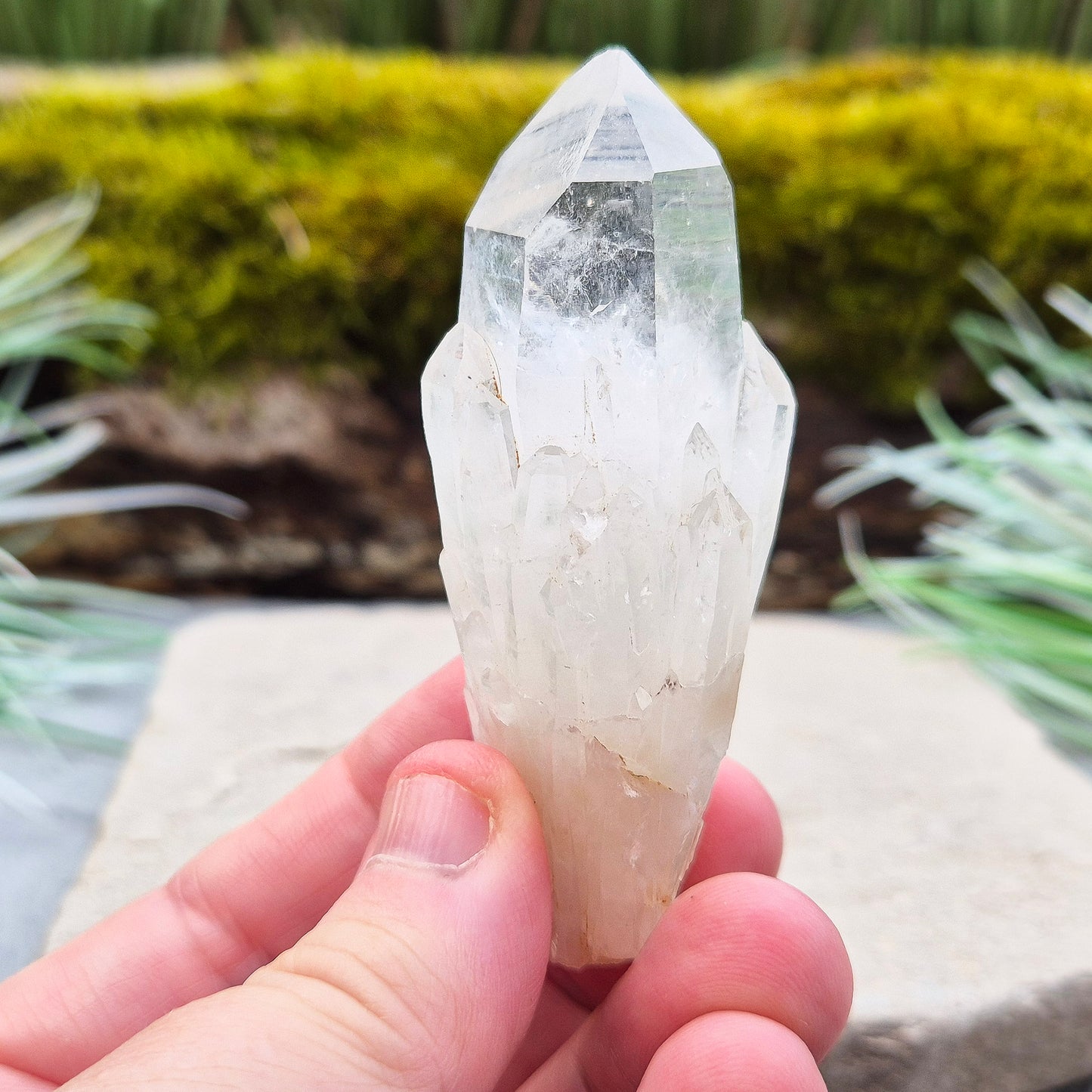 Quartz Crystal Point. From Atlas Mountains, Morocco. This is a wonderful natural quartz point with lots of companion crystals growing around it, very much like the formations you get on Pineapple Quartz.