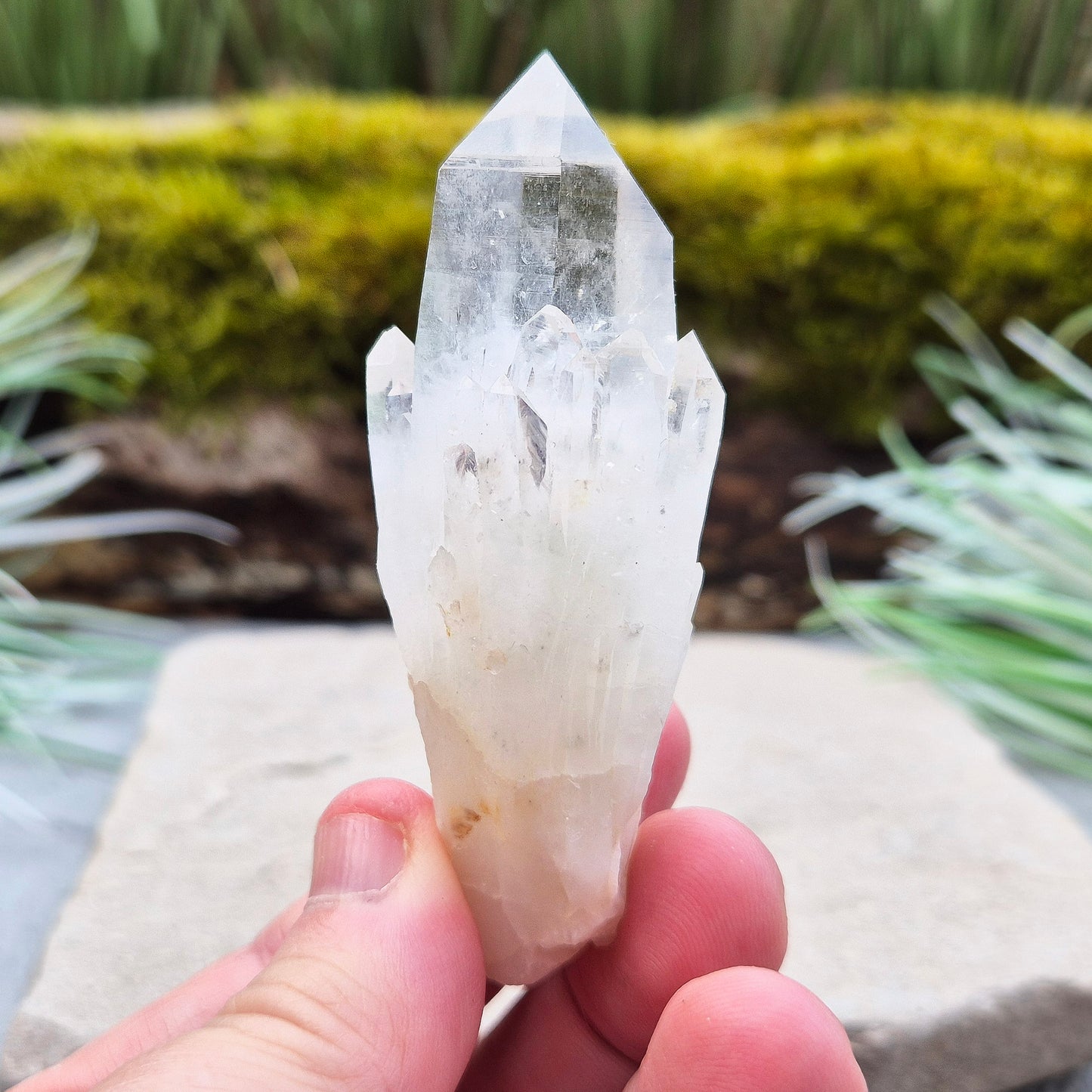 Quartz Crystal Point, Natural, Morocco | Feng Shui Crystal | Self Care | Thoughtful Gift