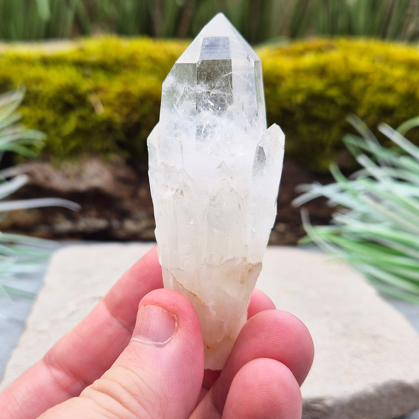Quartz Crystal Point, Natural, Morocco | Feng Shui Crystal | Self Care | Thoughtful Gift