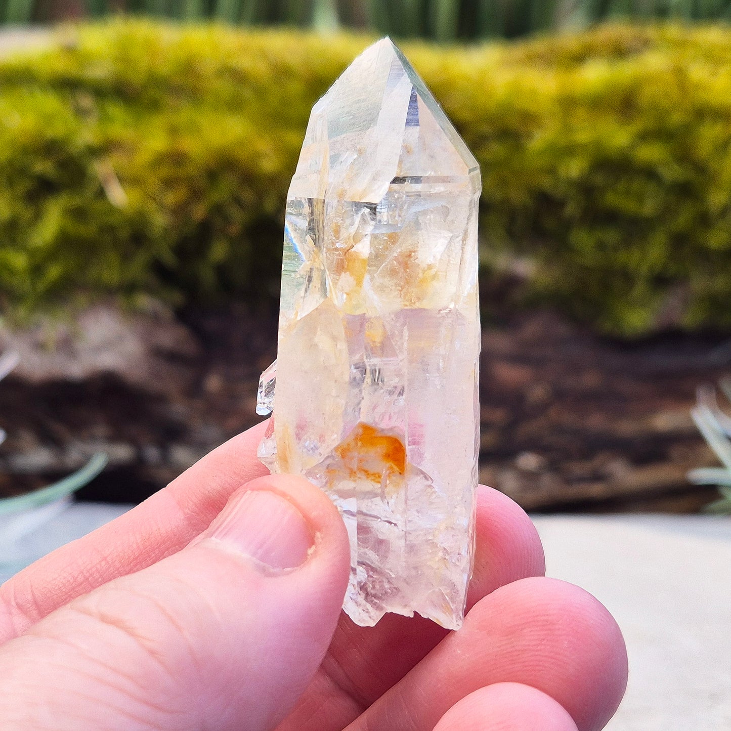Blade of Light Quartz Crystal - Natural Colombian Lemurian Quartz | Crystal Lovers Gift | Rare