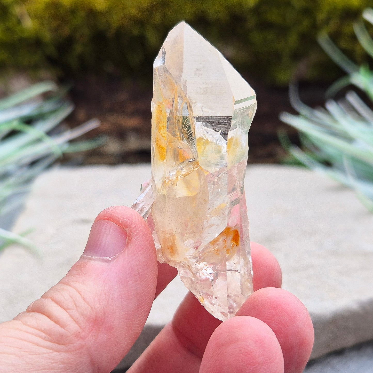 Blade of Light Quartz Crystal - Natural Colombian Lemurian Quartz | Crystal Lovers Gift | Rare