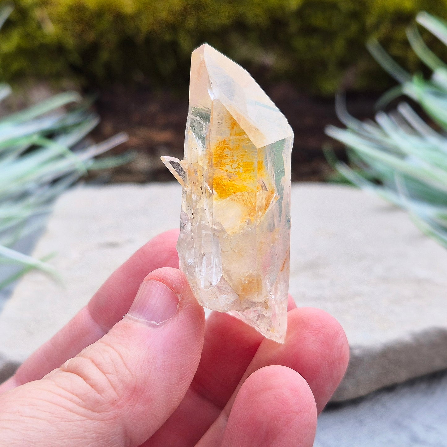 Blade of Light Quartz Crystal - Natural Colombian Lemurian Quartz | Crystal Lovers Gift | Rare