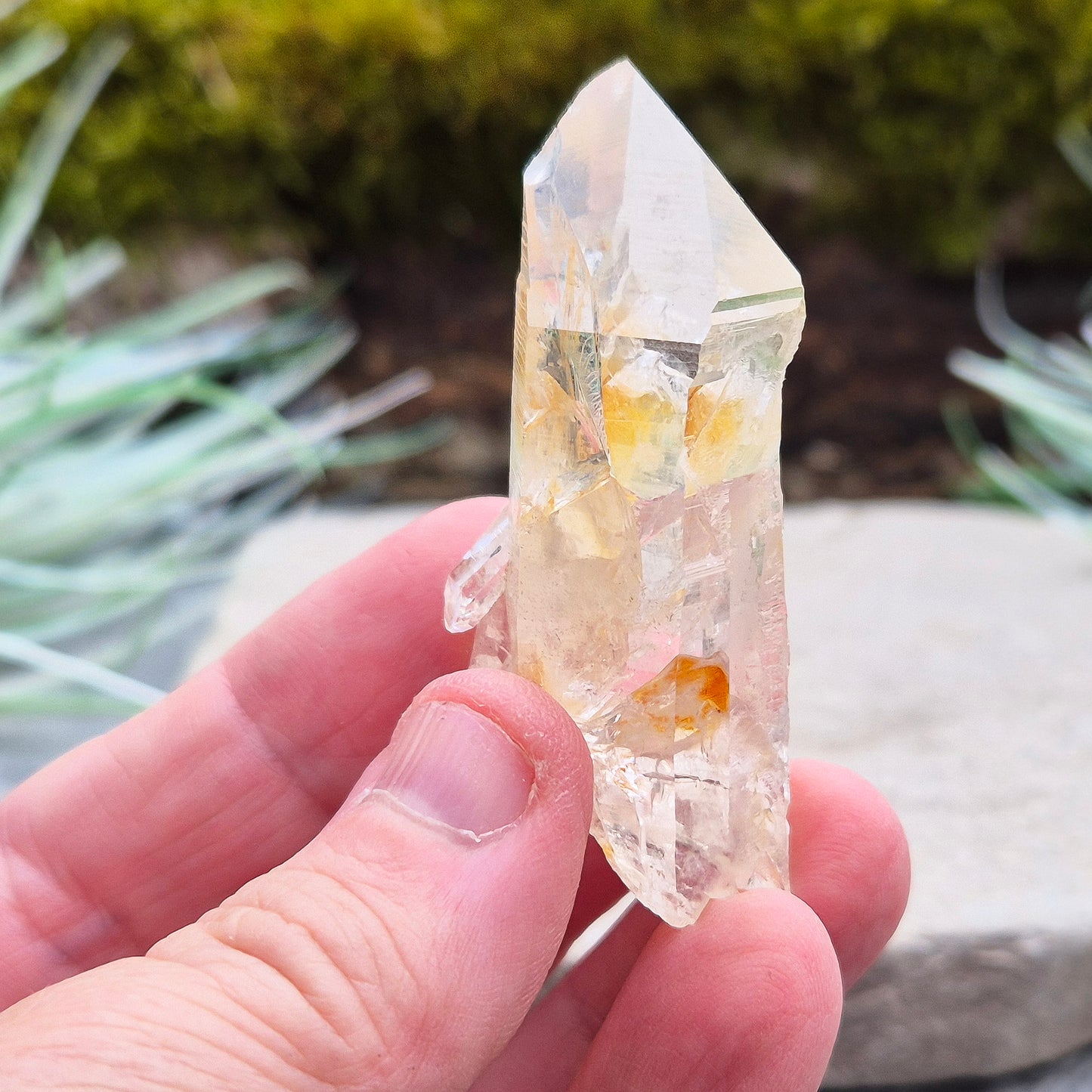 Blade of Light Quartz Crystal - Natural Colombian Lemurian Quartz | Crystal Lovers Gift | Rare