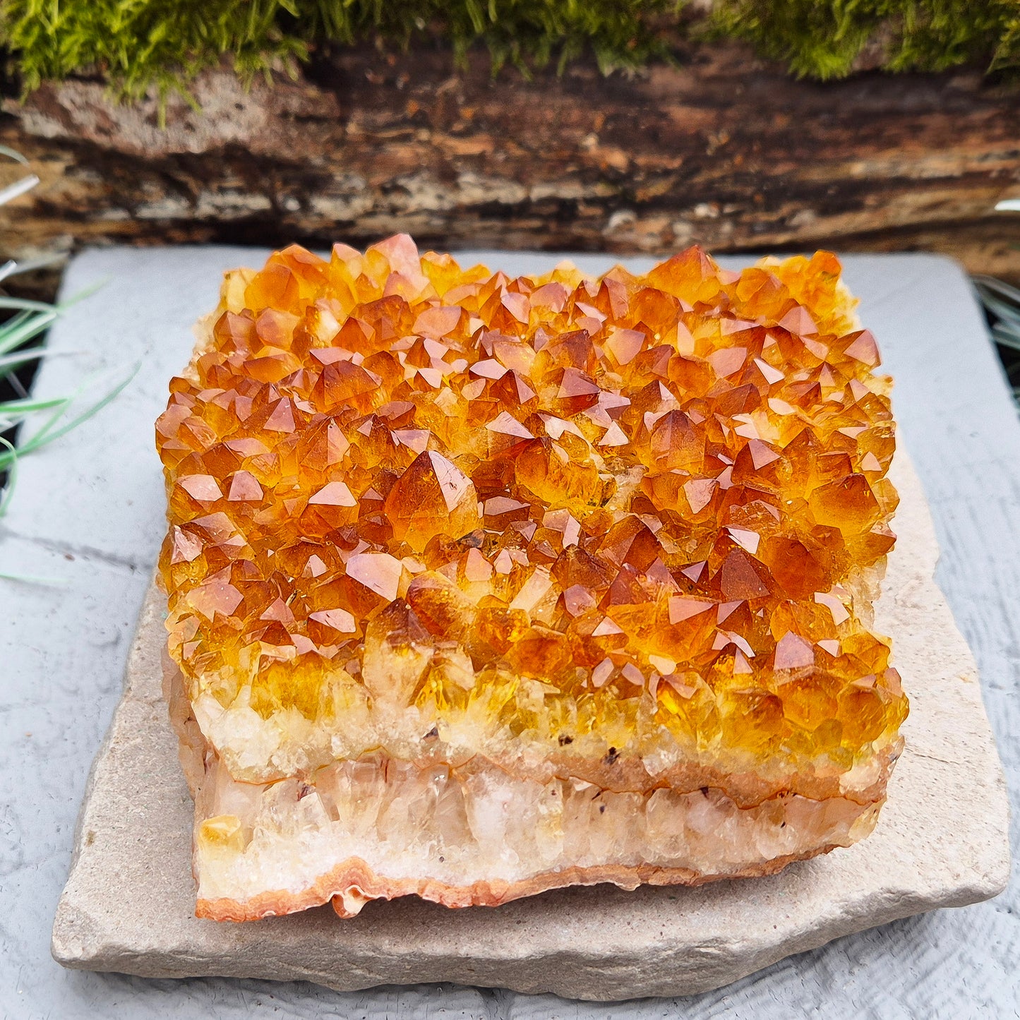 This beautiful Citrine Cluster from Brazil features mid-tone orange coloring and a flat base, perfect for use as a decorative statement piece or for energy work. Its natural formation radiates positivity and energy, making it an ideal addition to any space.