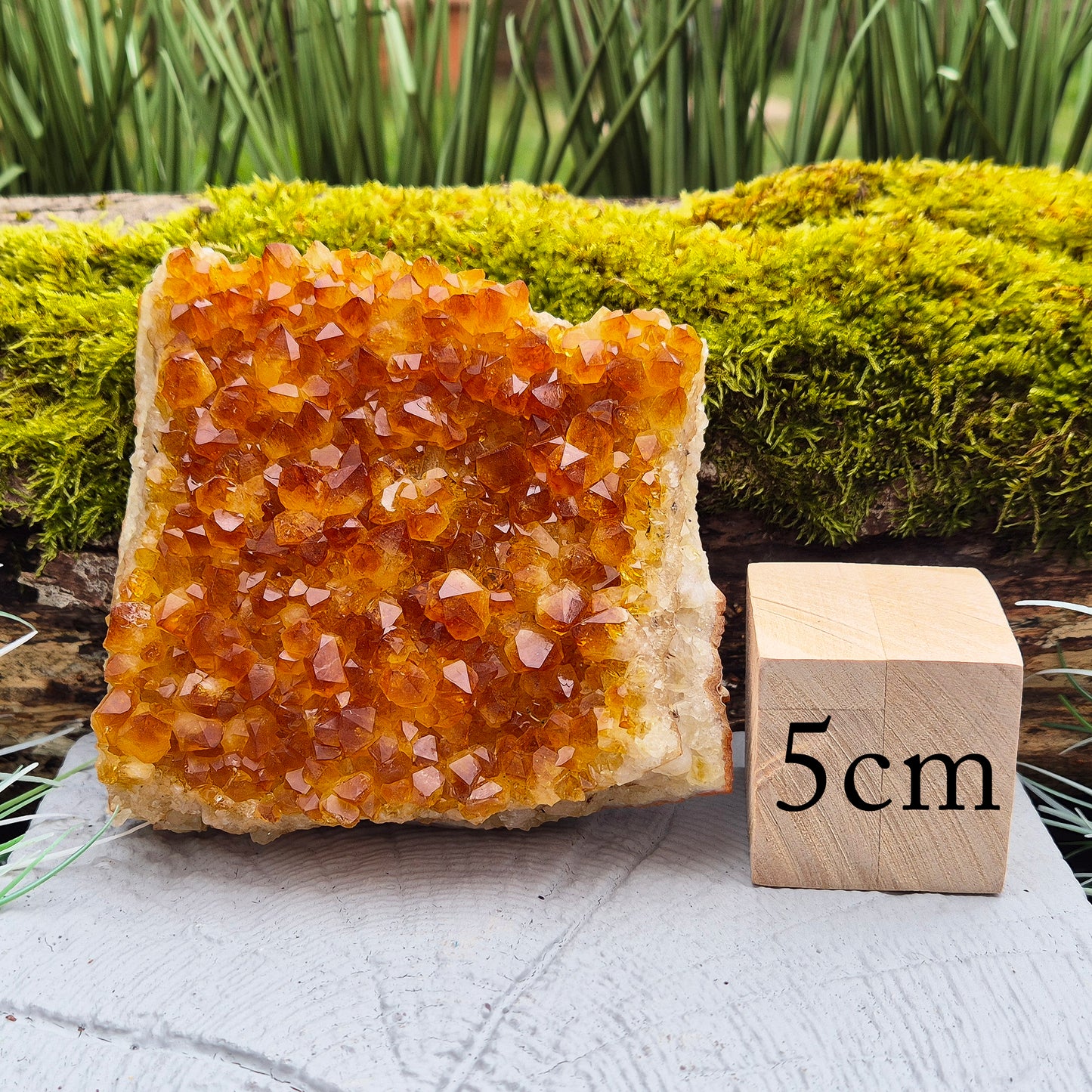 Citrine Cluster – Natural Crystal Formation | Statement Piece for Home Décor or Spiritual Space