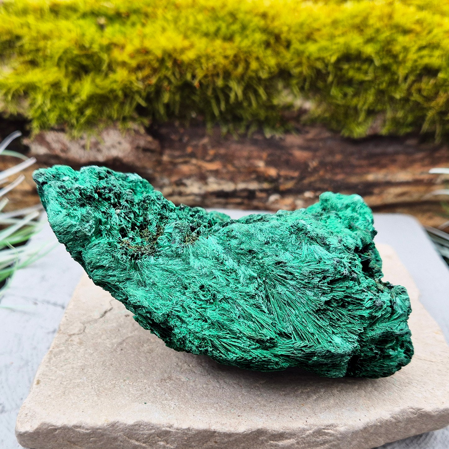 Natural Malachite – rich green hues with a stunning fibrous texture. Promotes transformation, protection, and heart chakra healing. Superb piece!