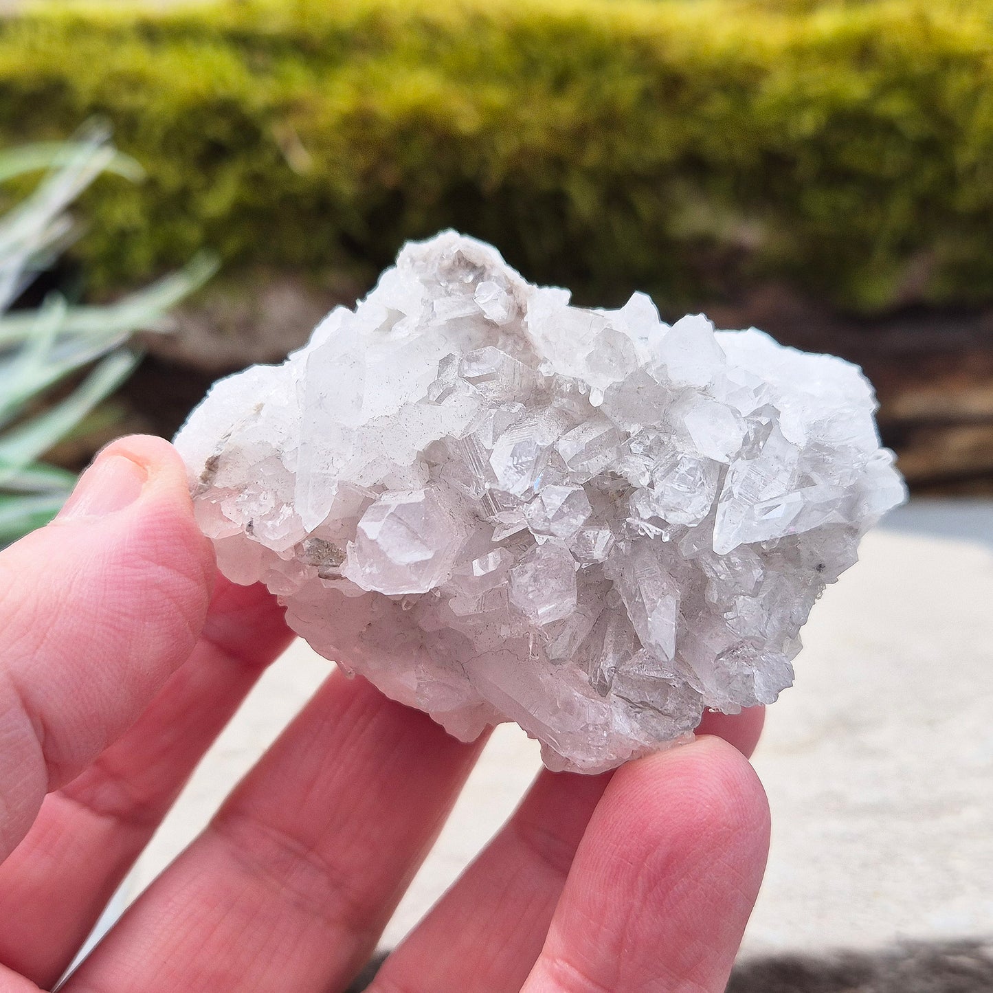 Quartz cluster – A stunning display of natural beauty, perfect for energy amplification, creating balance, and enhancing any space with its clear, calming vibes.