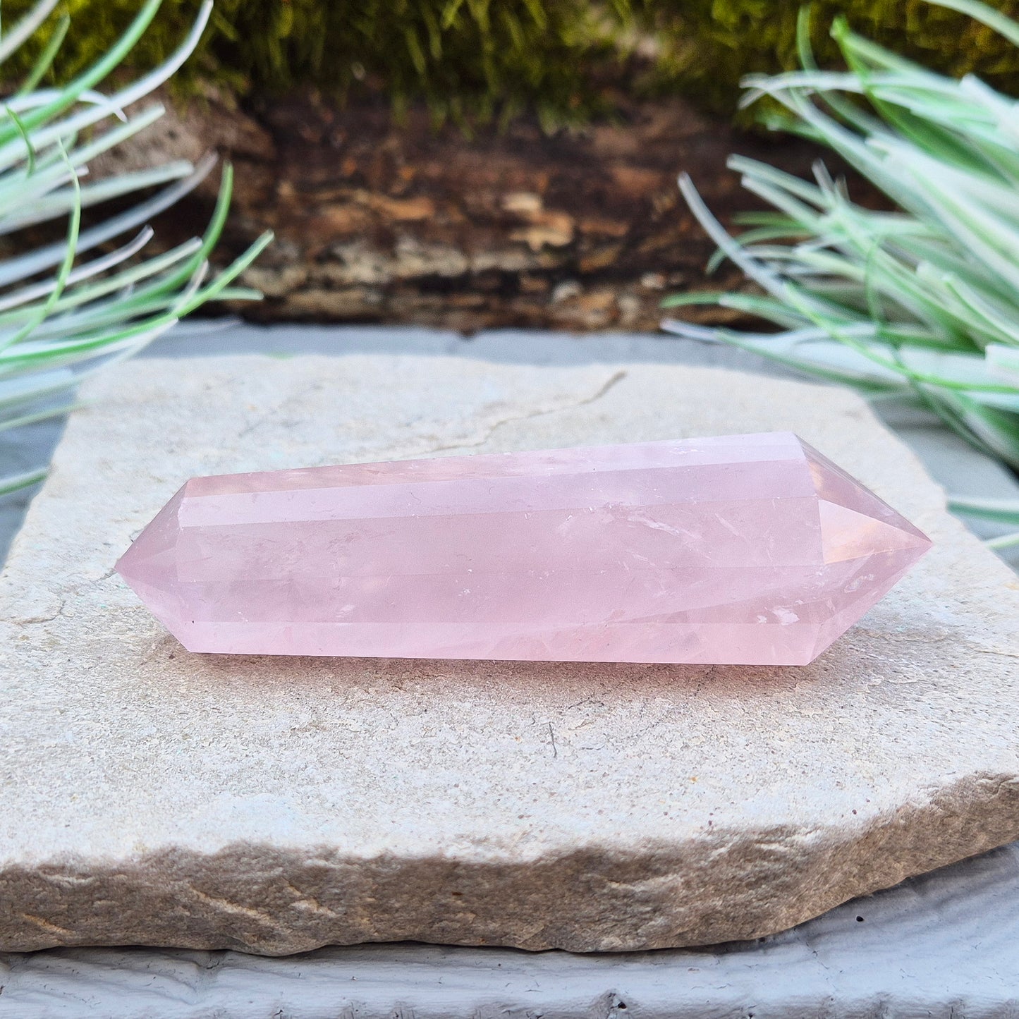Rose Quartz Double Terminated Vogel Cut Wand from Brazil. Lovely pale pink colouring. 12 sided. One larger end, and one smaller end.