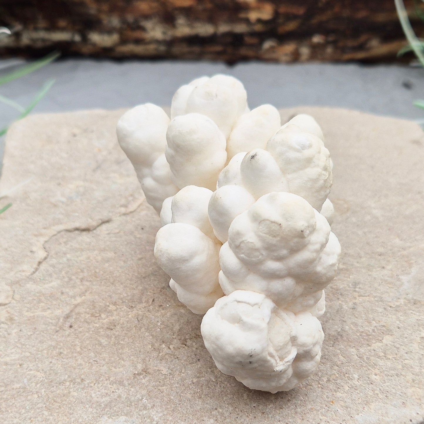 Cave Calcite, also known as Cave Popcorn or Coralloid, is actually Aragonite, not Calcite. This stunning mineral forms in caves, mines, and moist limestone-rich areas