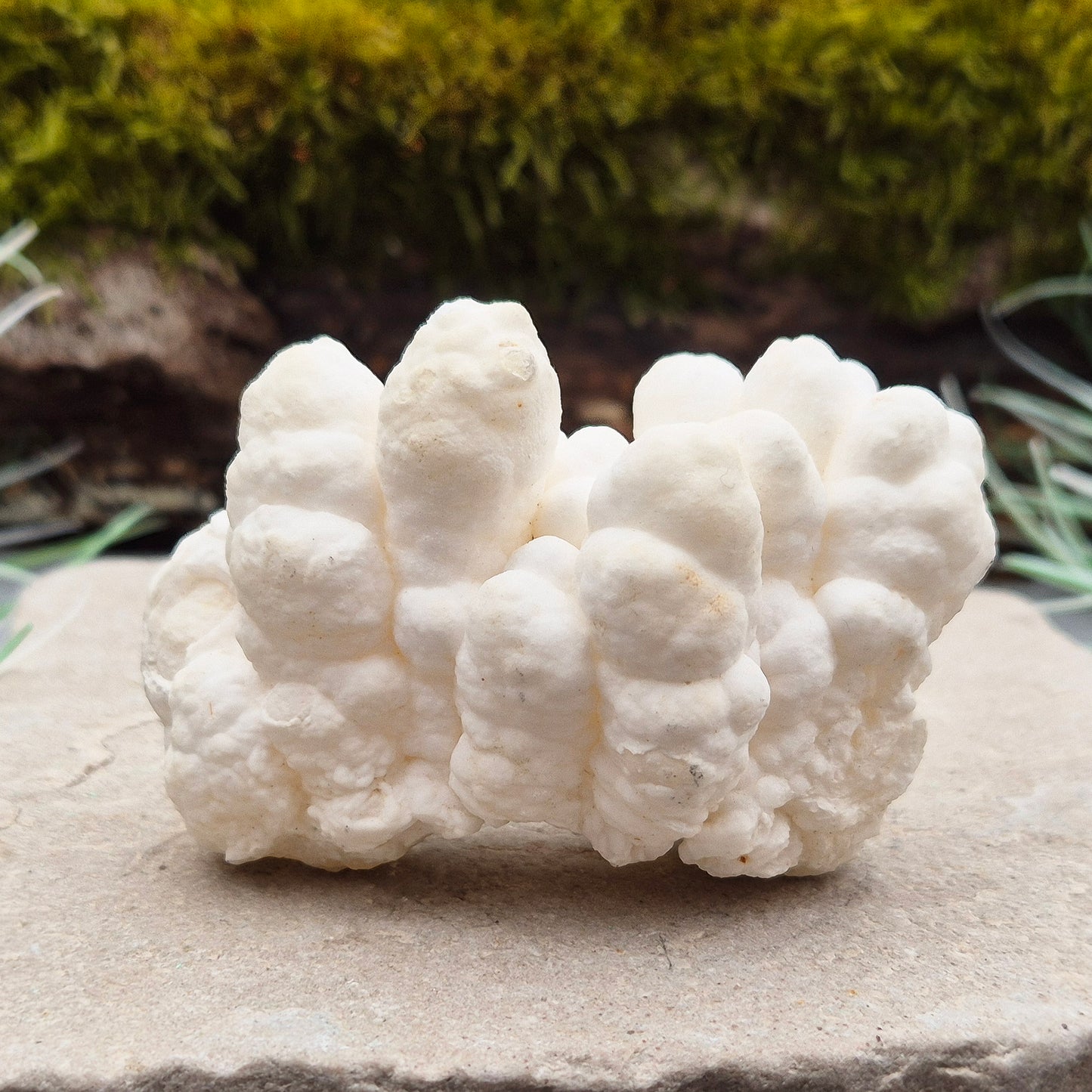 Cave Calcite, also known as Cave Popcorn or Coralloid, is actually Aragonite, not Calcite. This stunning mineral forms in caves, mines, and moist limestone-rich areas