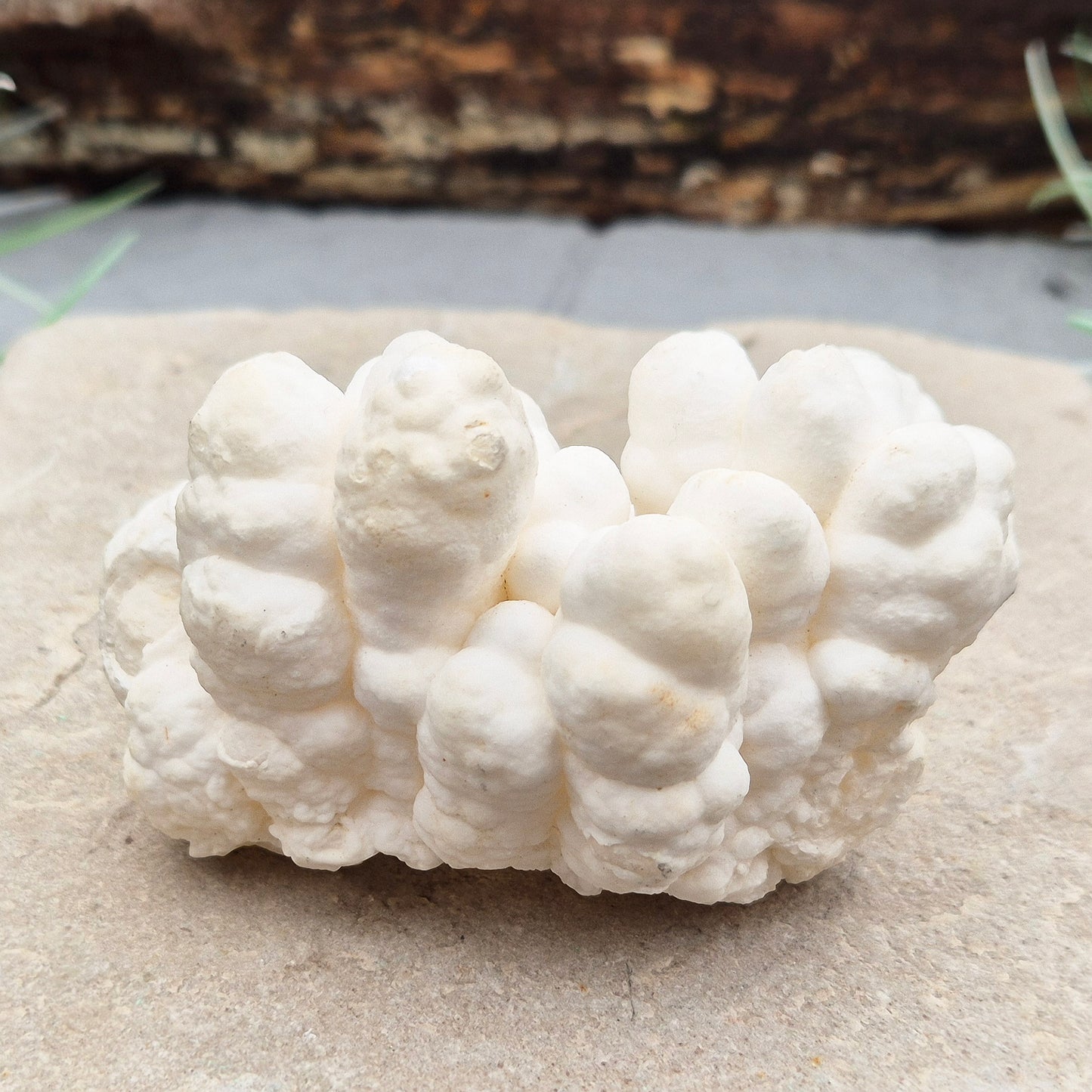 Cave Calcite, also known as Cave Popcorn or Coralloid, is actually Aragonite, not Calcite. This stunning mineral forms in caves, mines, and moist limestone-rich areas