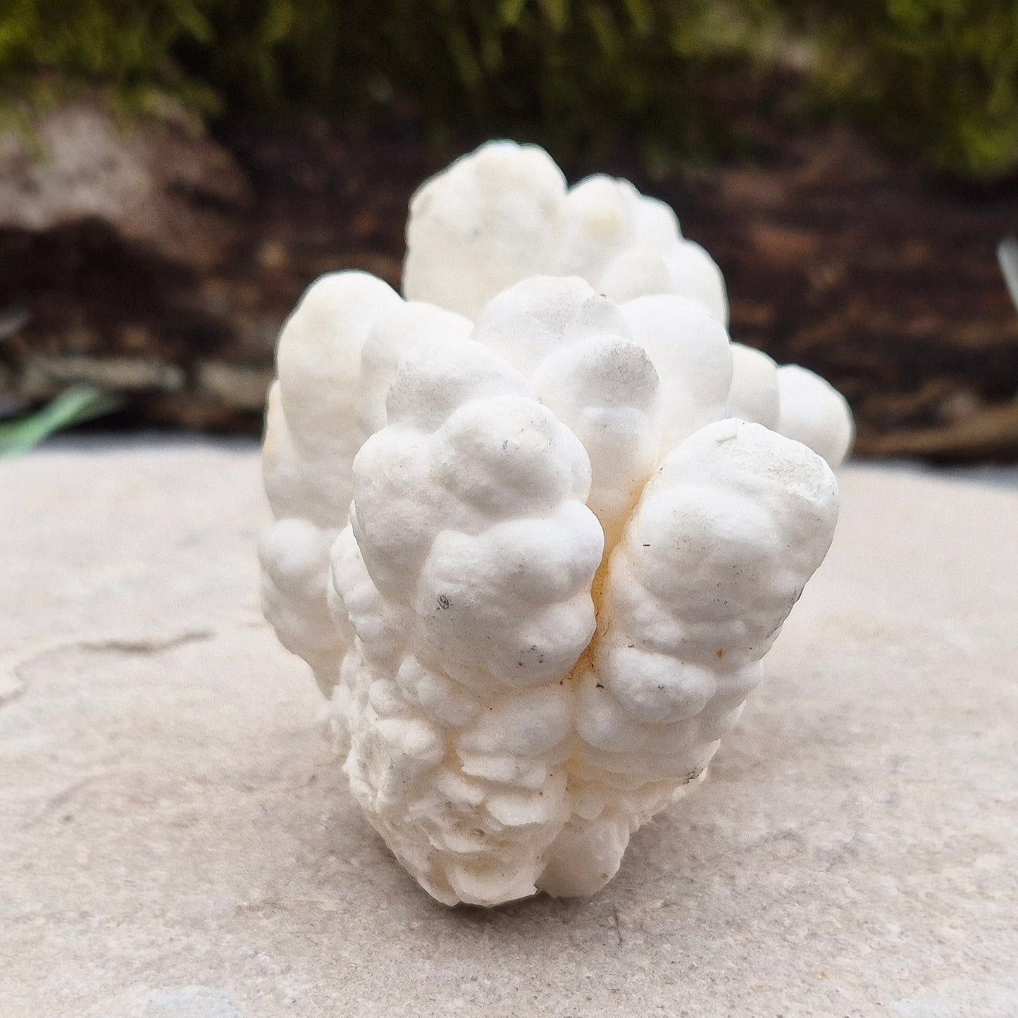 Cave Calcite Crystal | Home Decor Display | Natural Authentic Crystal for Collectors