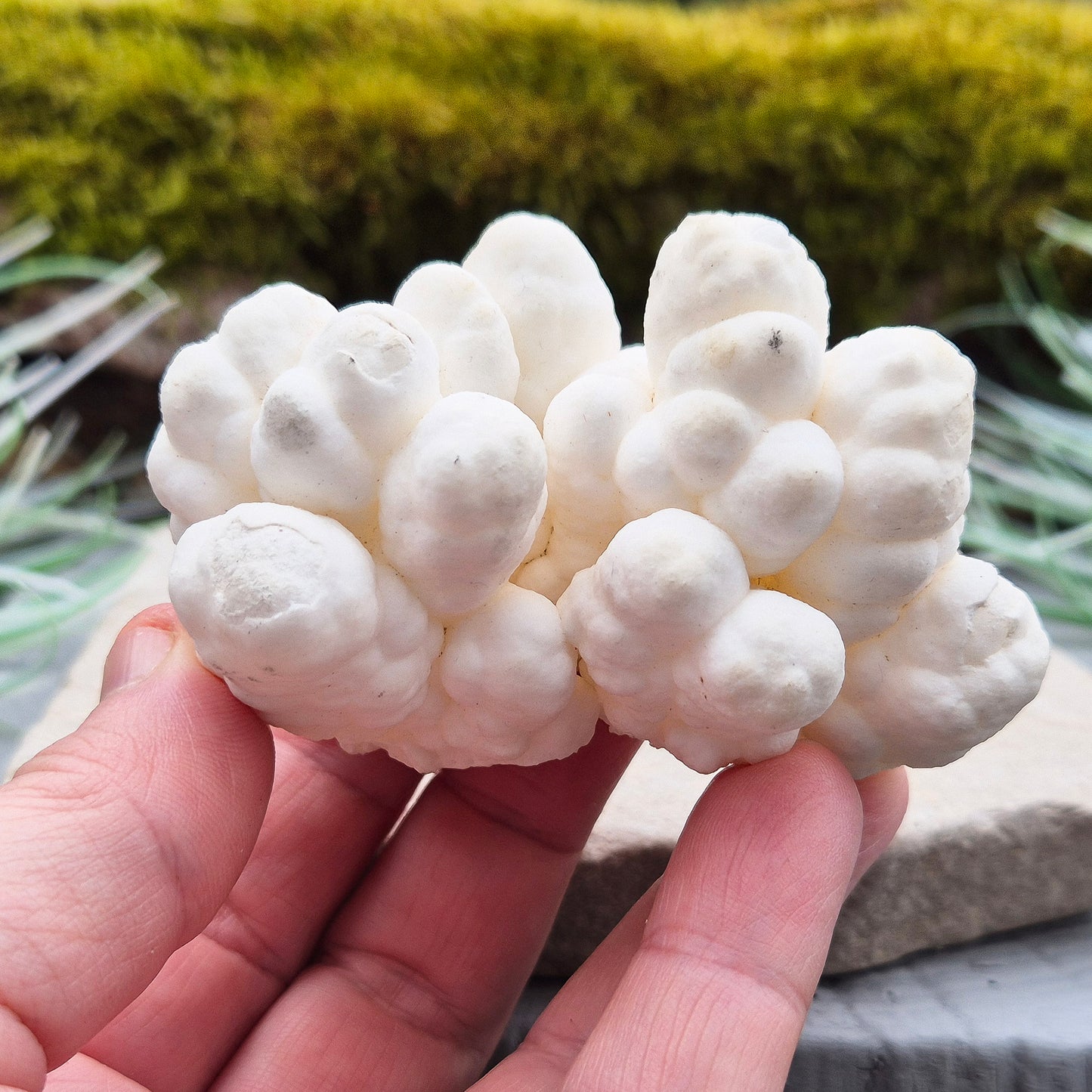Cave Calcite Crystal | Home Decor Display | Natural Authentic Crystal for Collectors