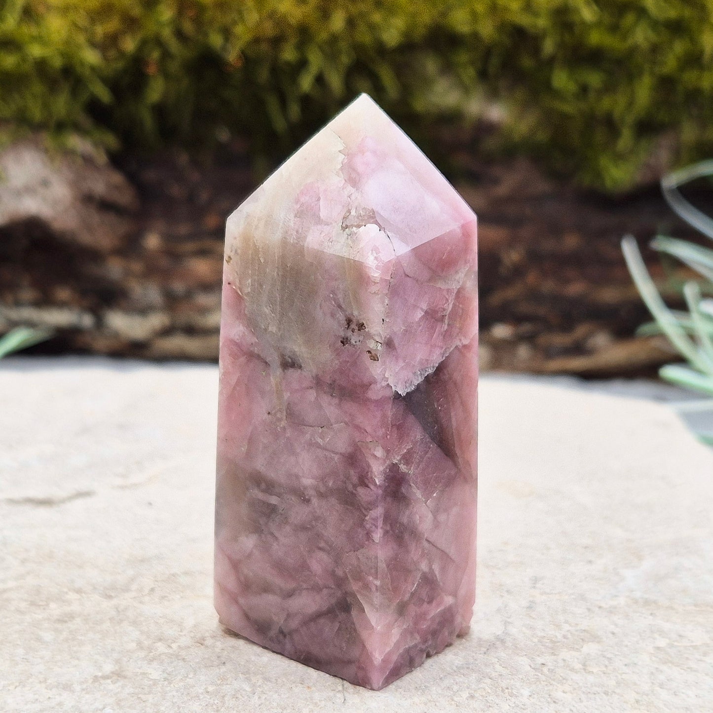 Pink Tourmaline in Quartz Crystal Point
This polished crystal tower features the soft, rosy tones of Pink Tourmaline set within the clarity of Quartz—a beautiful combination known for its soothing and supportive energy. The pointed shape helps focus and direct energy, making it a versatile and uplifting piece.