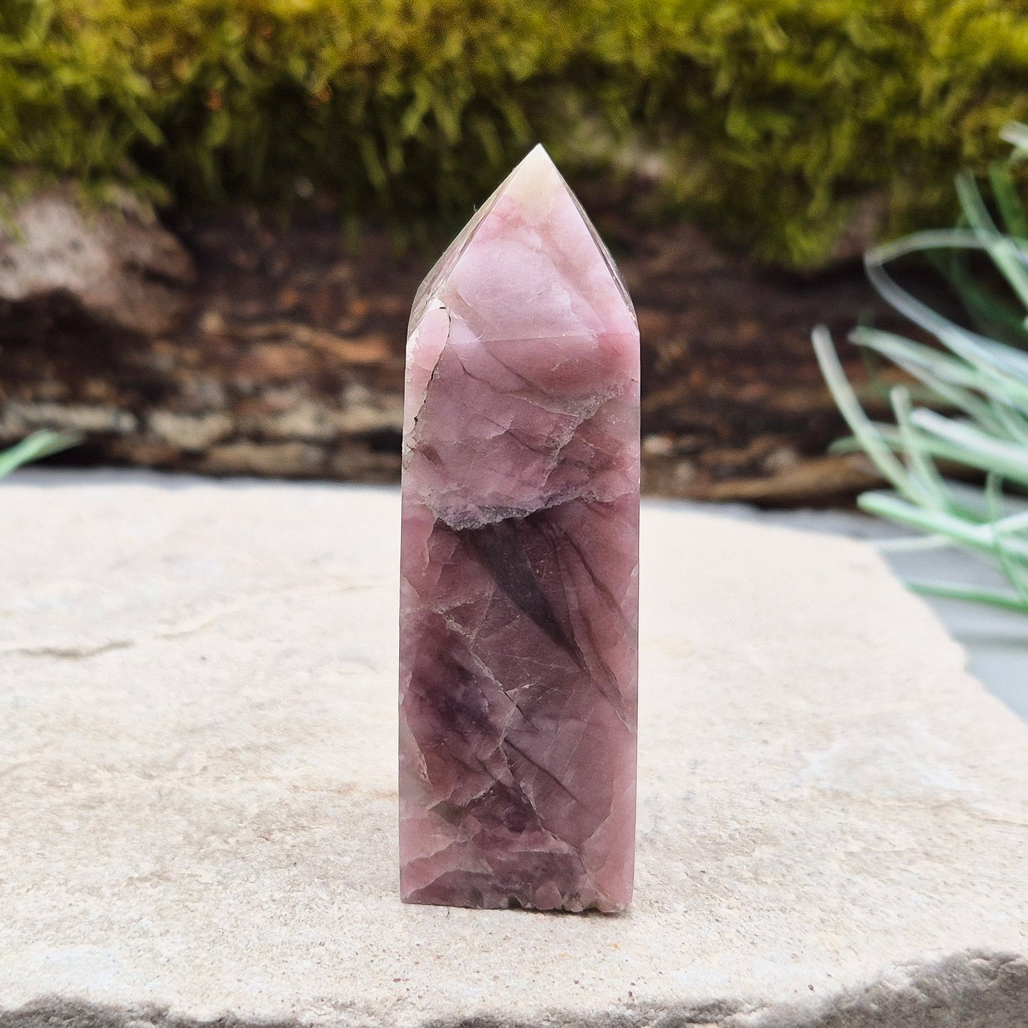 Pink Tourmaline in Quartz Crystal Point
This polished crystal tower features the soft, rosy tones of Pink Tourmaline set within the clarity of Quartz—a beautiful combination known for its soothing and supportive energy. The pointed shape helps focus and direct energy, making it a versatile and uplifting piece.