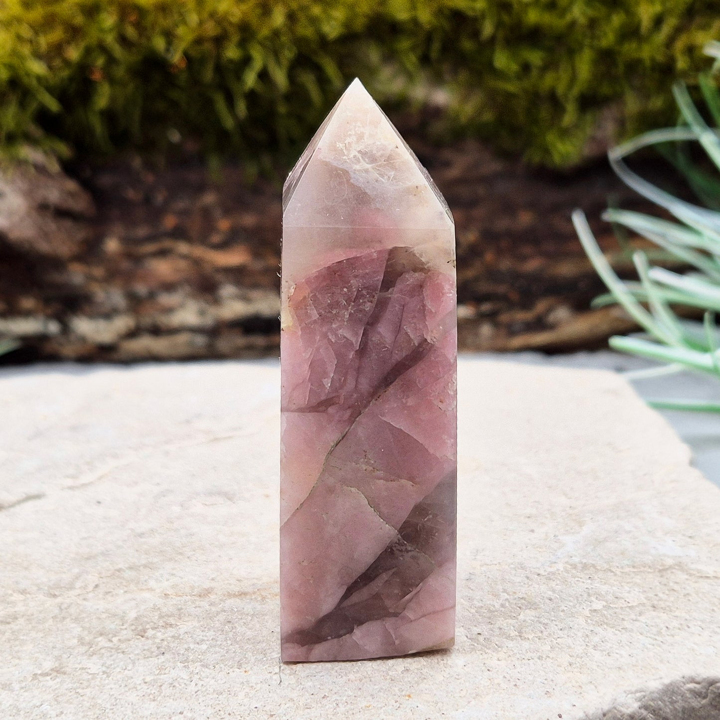 Pink Tourmaline in Quartz Crystal Point
This polished crystal tower features the soft, rosy tones of Pink Tourmaline set within the clarity of Quartz—a beautiful combination known for its soothing and supportive energy. The pointed shape helps focus and direct energy, making it a versatile and uplifting piece.