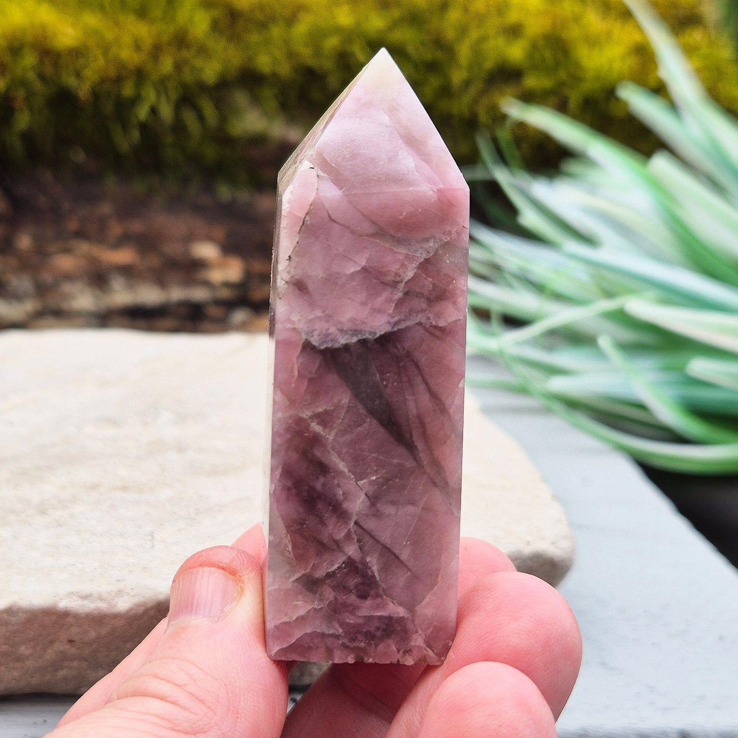 Pink Tourmaline in Quartz Crystal Point
This polished crystal tower features the soft, rosy tones of Pink Tourmaline set within the clarity of Quartz—a beautiful combination known for its soothing and supportive energy. The pointed shape helps focus and direct energy, making it a versatile and uplifting piece.