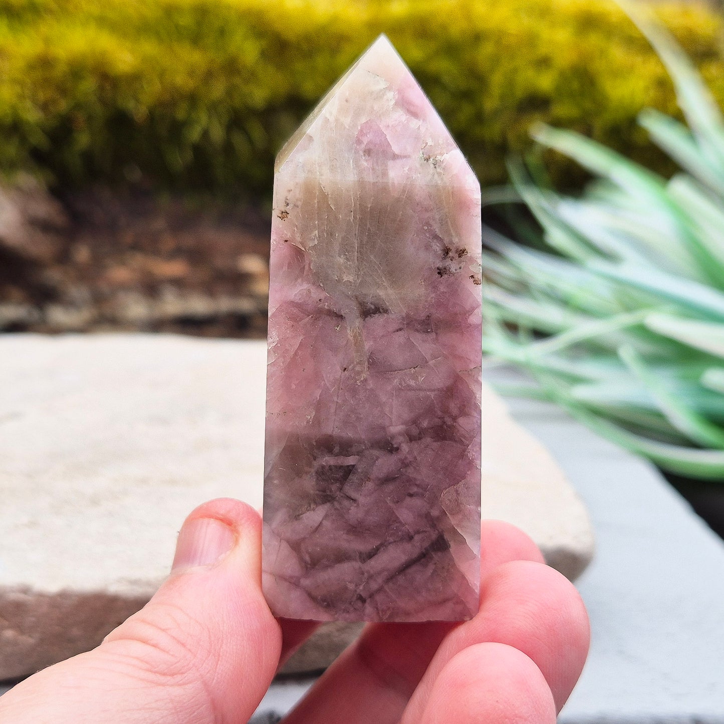 Pink Tourmaline in Quartz Crystal Point
This polished crystal tower features the soft, rosy tones of Pink Tourmaline set within the clarity of Quartz—a beautiful combination known for its soothing and supportive energy. The pointed shape helps focus and direct energy, making it a versatile and uplifting piece.