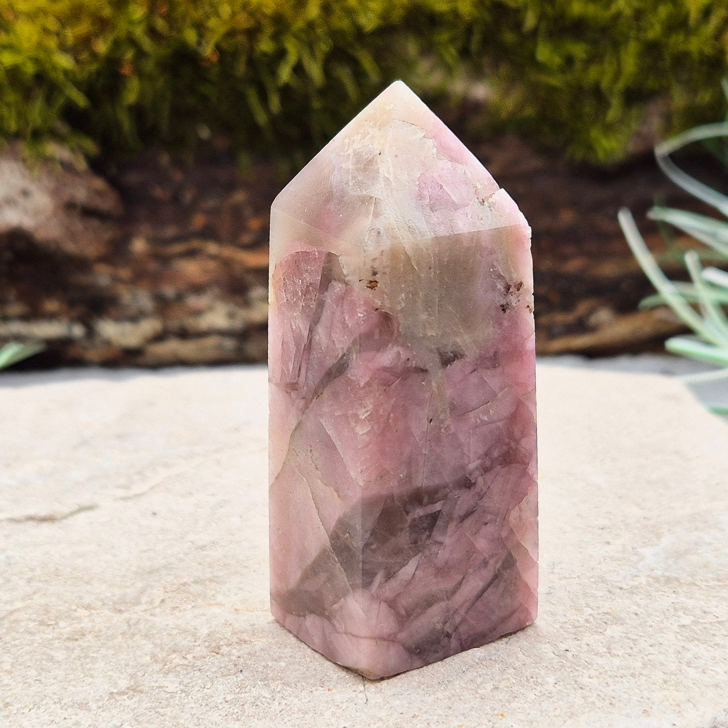 Pink Tourmaline in Quartz Crystal Point
This polished crystal tower features the soft, rosy tones of Pink Tourmaline set within the clarity of Quartz—a beautiful combination known for its soothing and supportive energy. The pointed shape helps focus and direct energy, making it a versatile and uplifting piece.