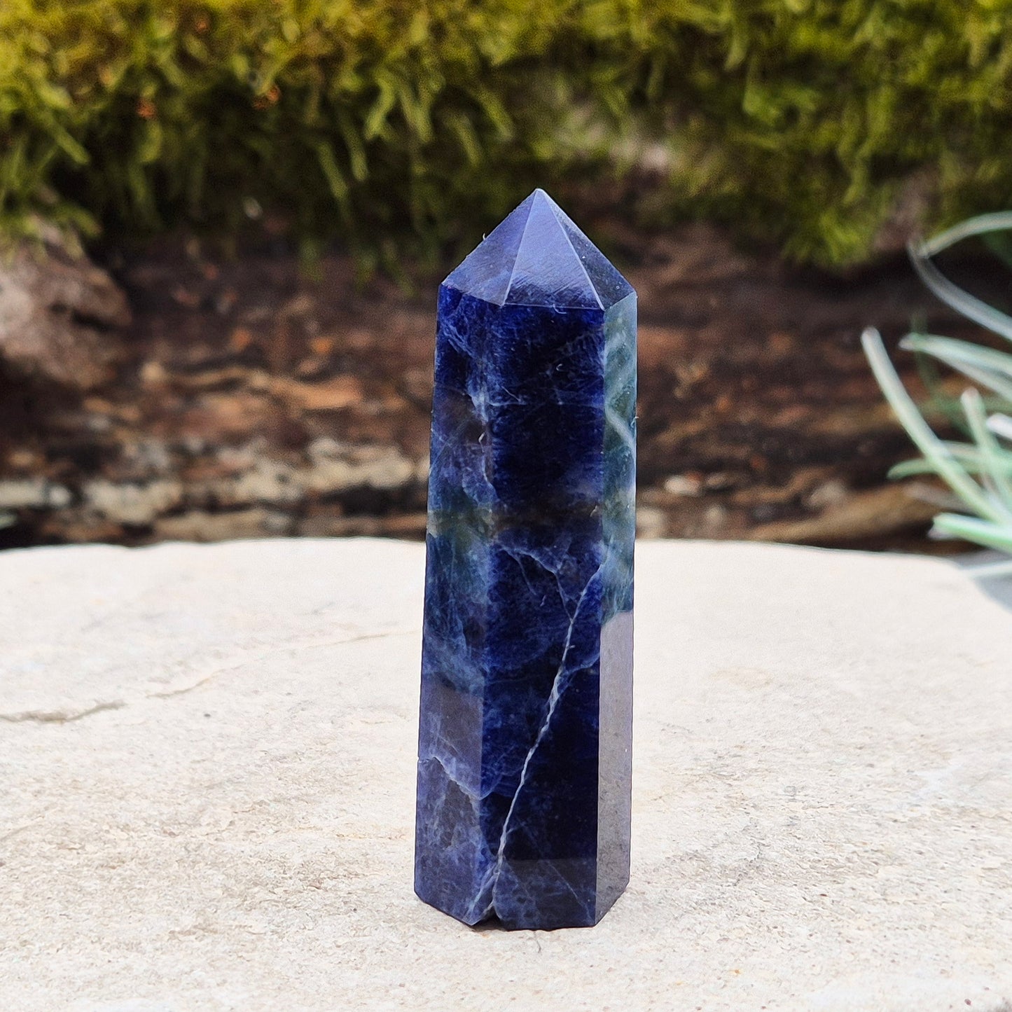 Sodalite Crystal Point. A grade. From Namibia. Nice royal blue colouring and marking. 6 sided generator tip.