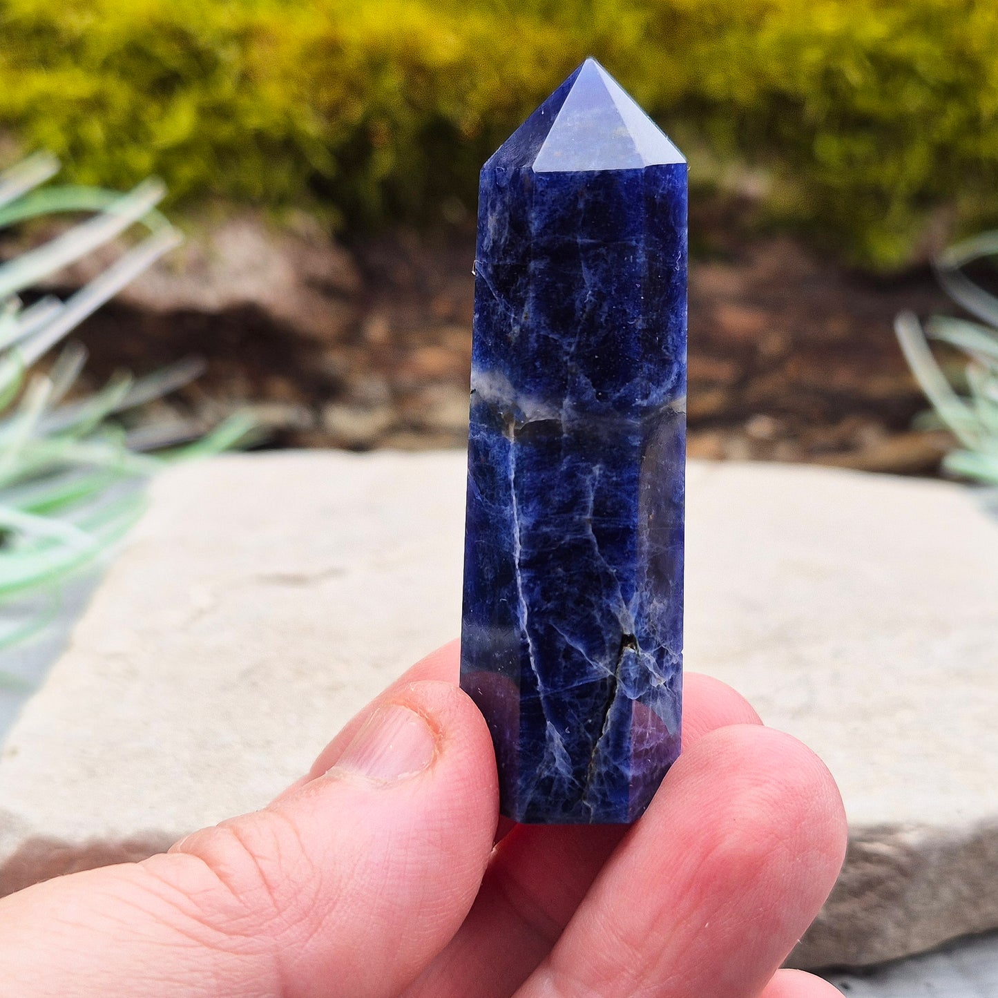 Sodalite Crystal Point, A grade | a stone of peace, truth & emotional balance | A Thoughtful Gift