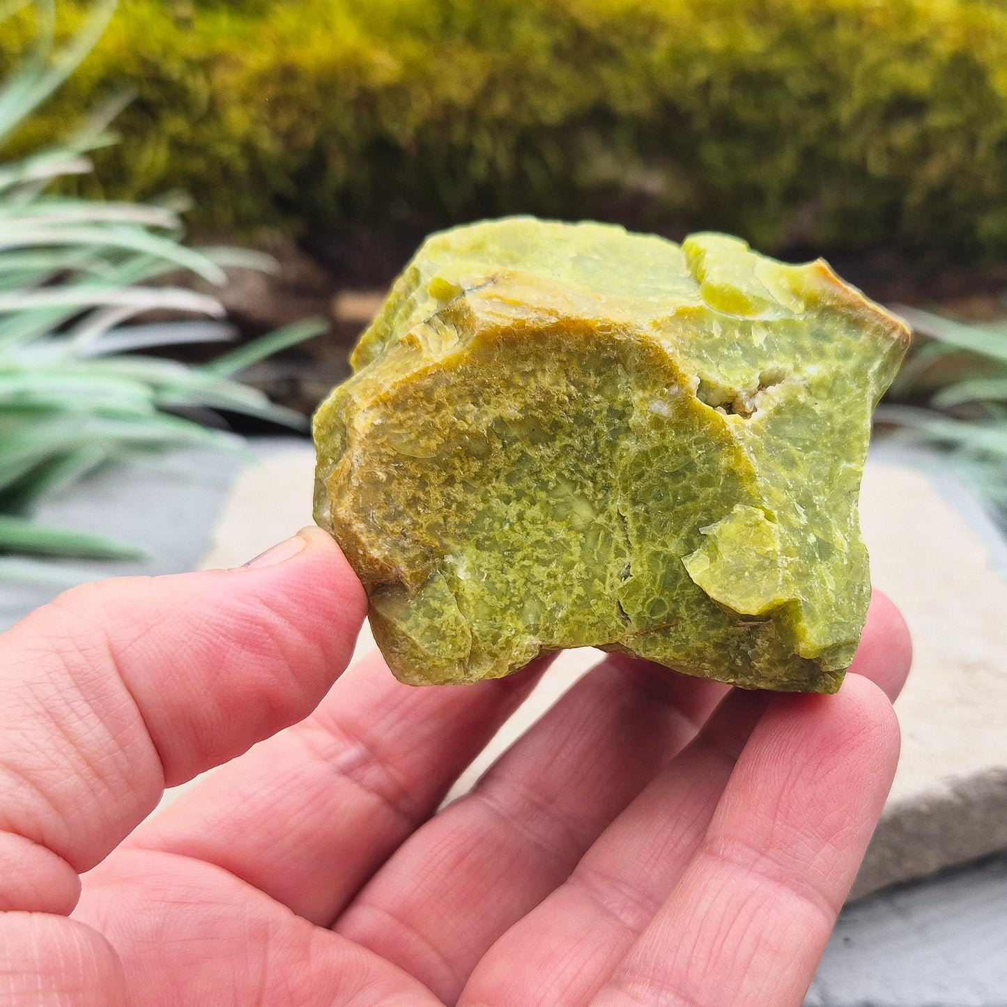 Green Opal, Natural, represents Emotional Balance, Fresh Energy, and Personal Growth