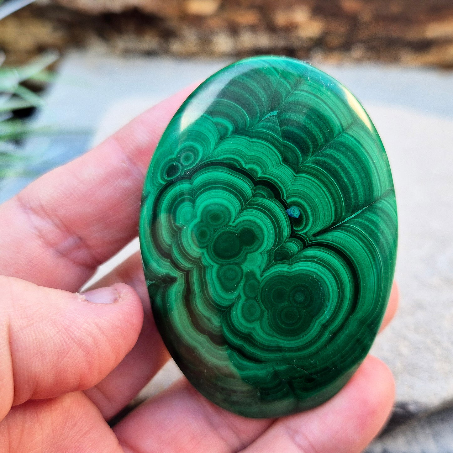 Malachite Crystal Palm Stone from the Congo. Polished Malachite which has wonderful green markings. Grade AA.