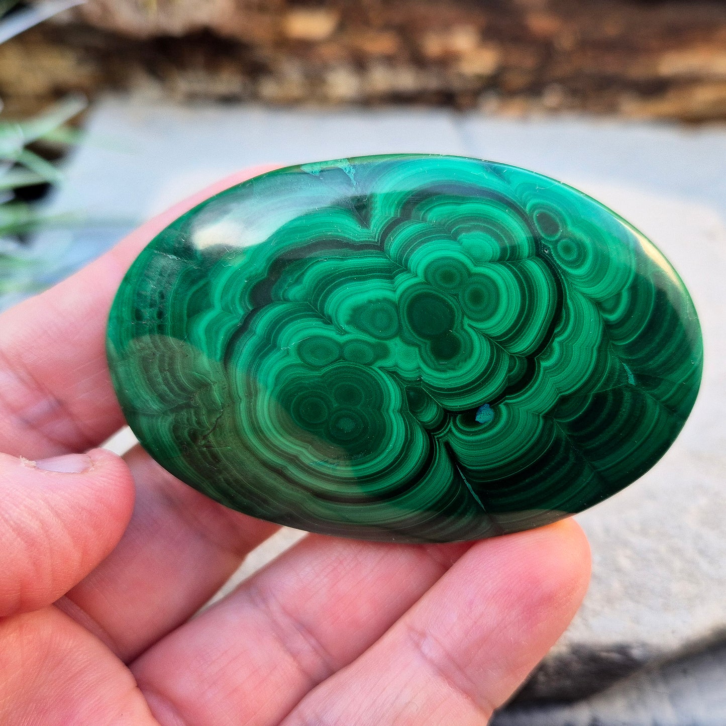 Malachite Crystal Palm Stone from the Congo. Polished Malachite which has wonderful green markings. Grade AA.