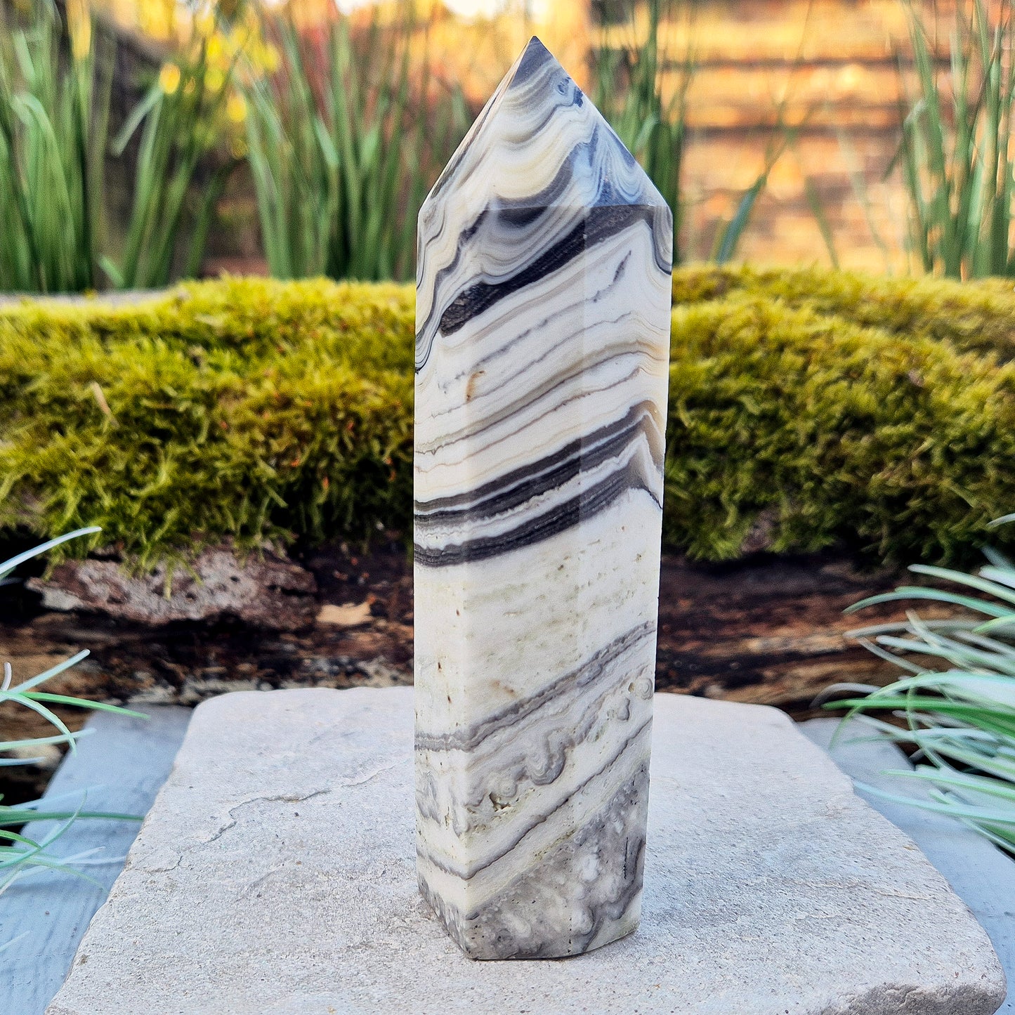 Zebra Calcite Crystal Point from Mexico, also sometimes called Phantom Calcite. This crystal typically forms of orange calcite combined with striped black and white calcite. This point has a 6 sided generator tip.