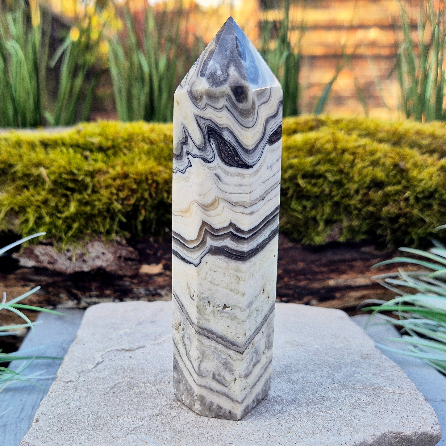 Zebra Calcite Crystal Point from Mexico, also sometimes called Phantom Calcite. This crystal typically forms of orange calcite combined with striped black and white calcite. This point has a 6 sided generator tip.