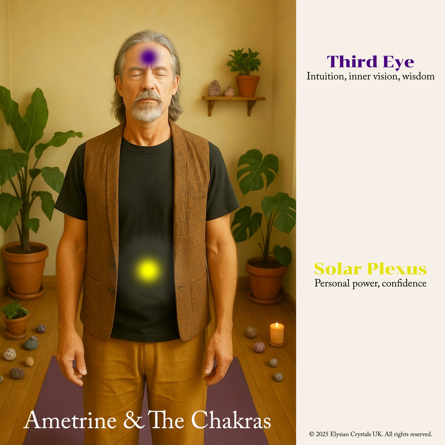 Ametrine Crystal Point, Polished Tip, Natural Sides, Cut Base