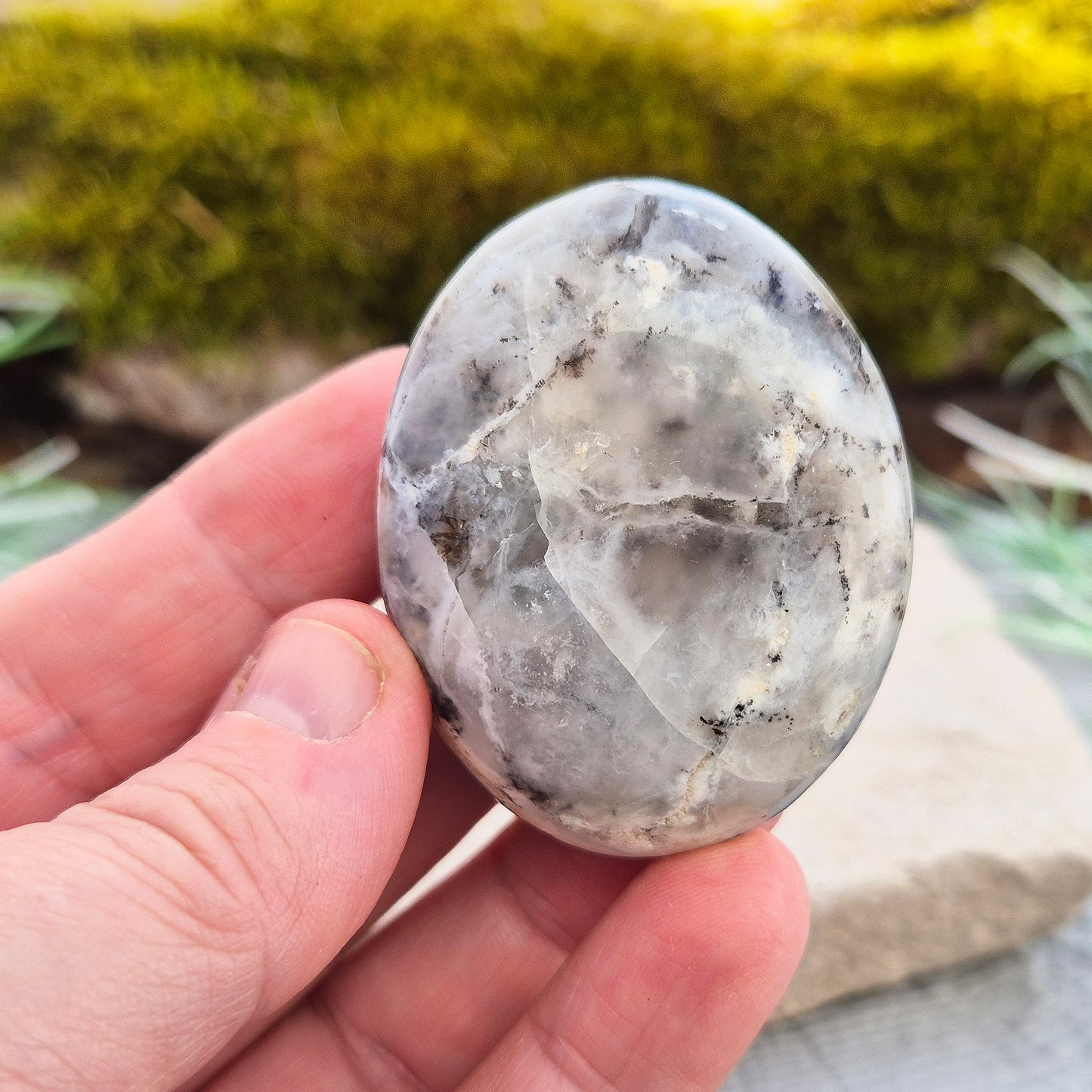 This beautiful Dendritic Opal palm stone features a stunning natural blend of milky white opal with delicate dendritic inclusions. Polished and shaped to fit comfortably in your hand,